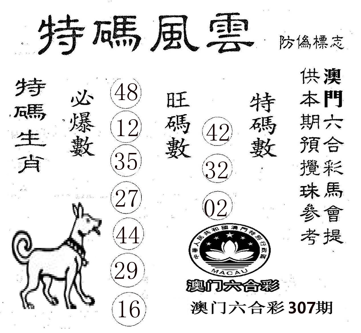 特码风云 第307期