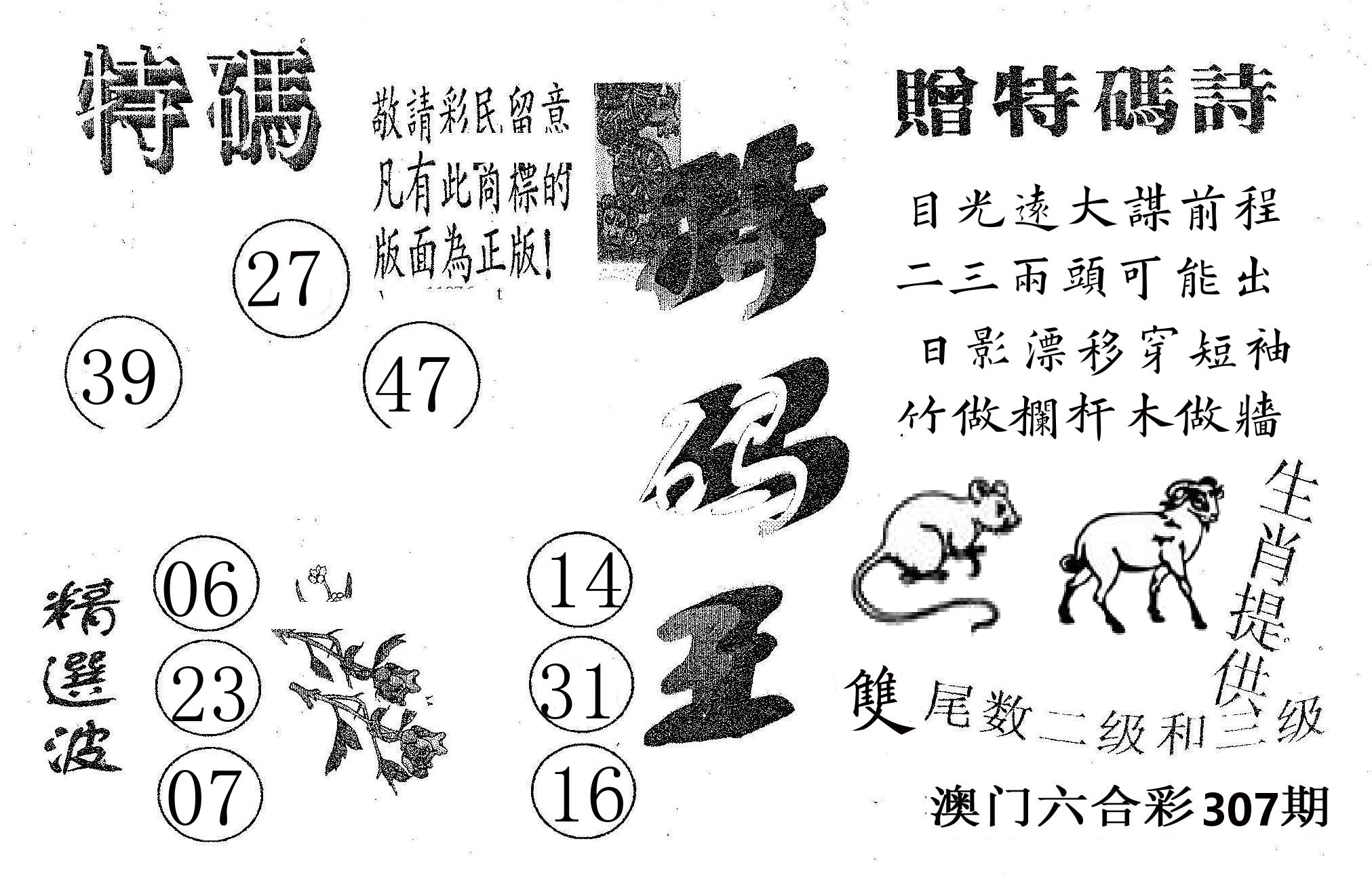 特码王A 第307期