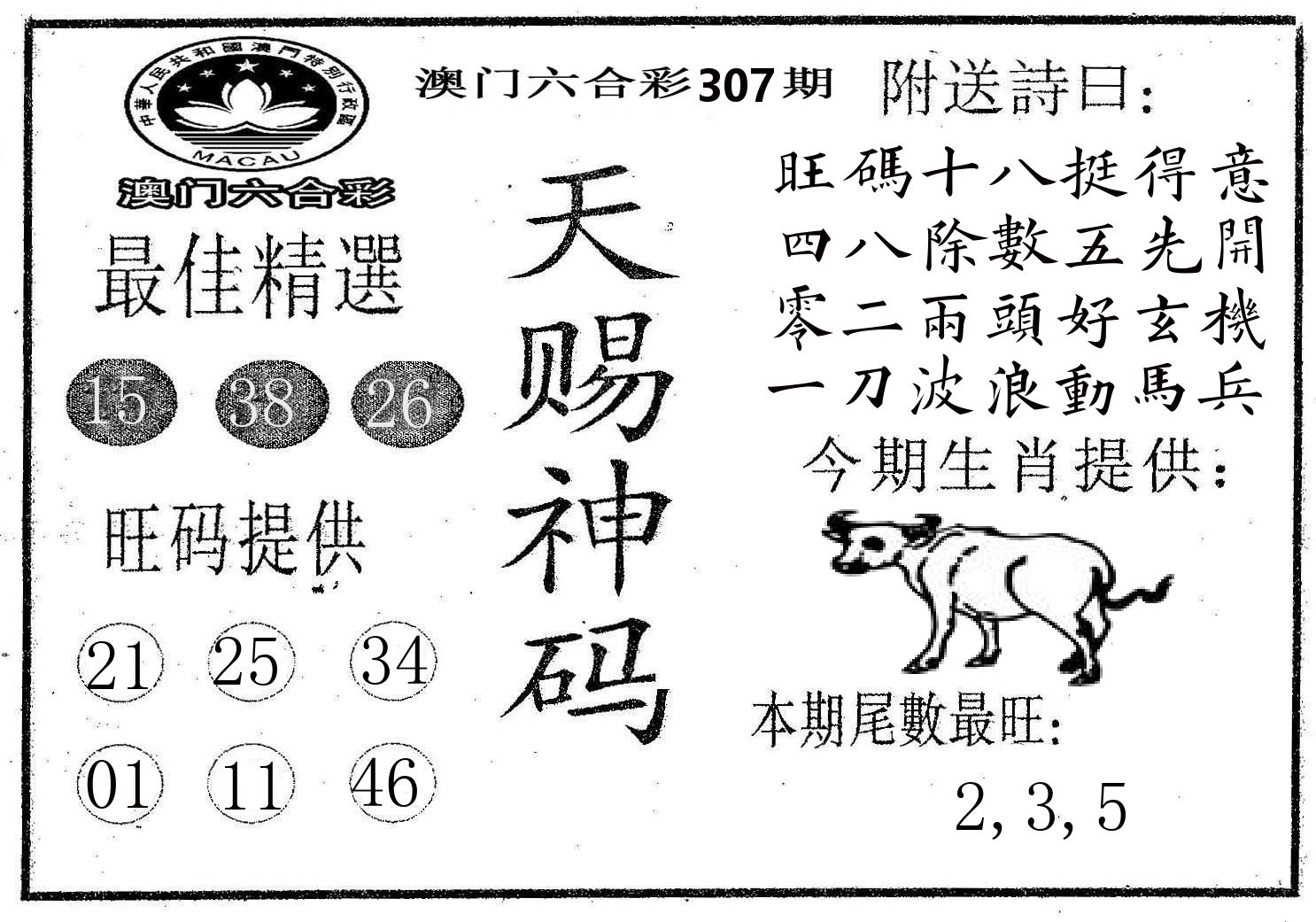 天赐神码 第307期