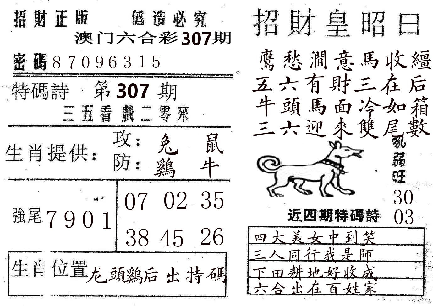 招财皇 第307期