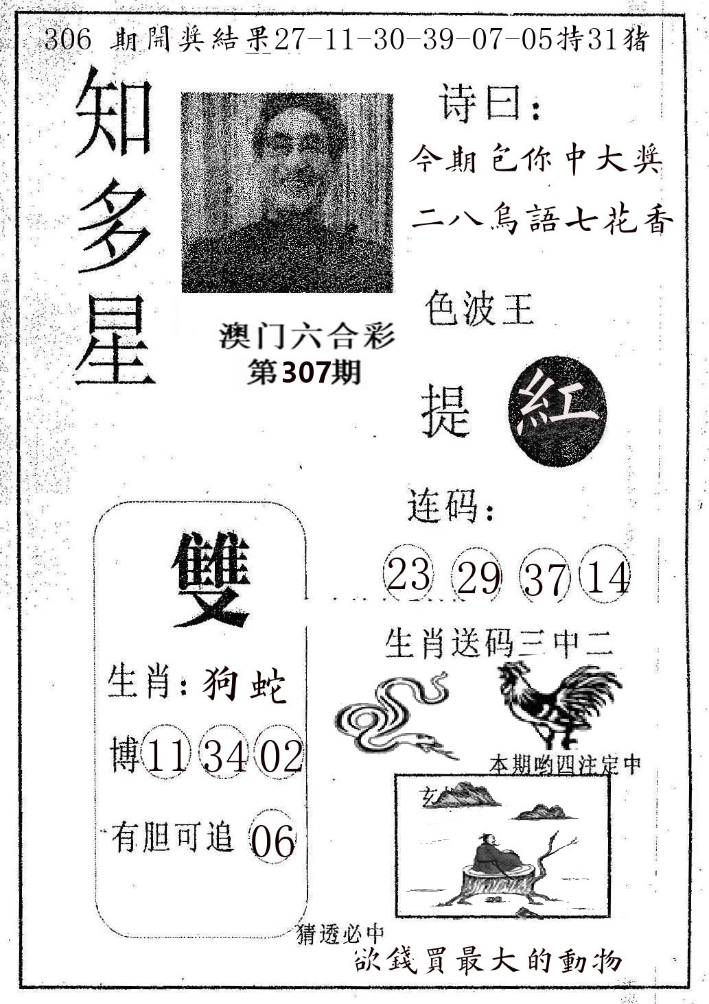 知多星 第307期