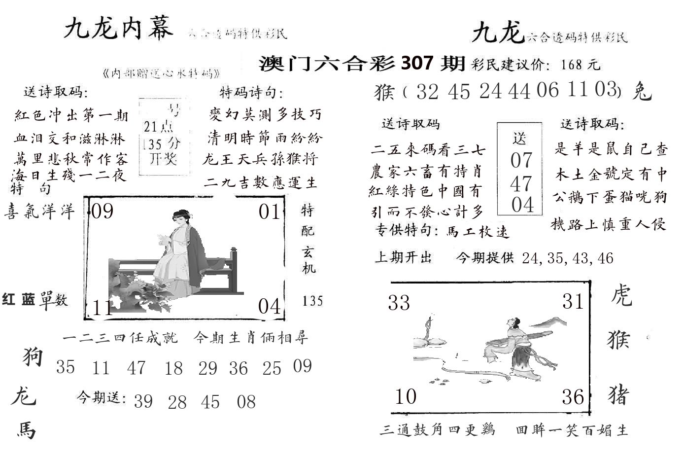 九龙内幕 第307期