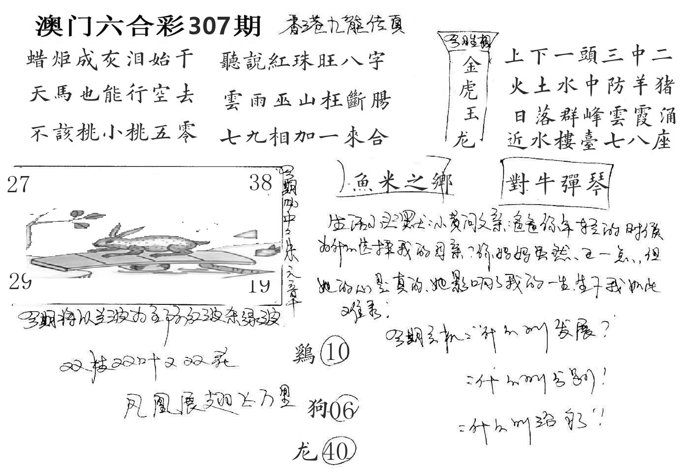 澳门手写九龙 第307期