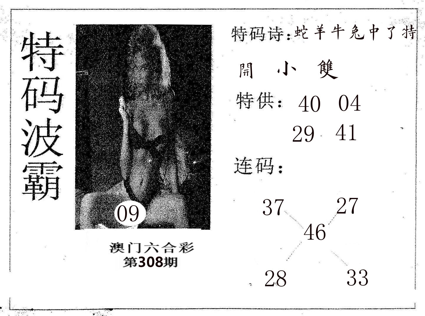 特码波霸 第308期
