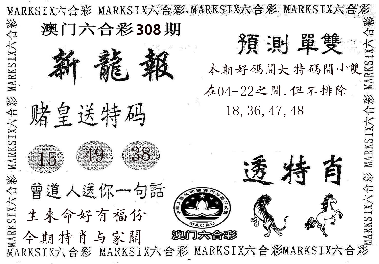 新龙报 第308期