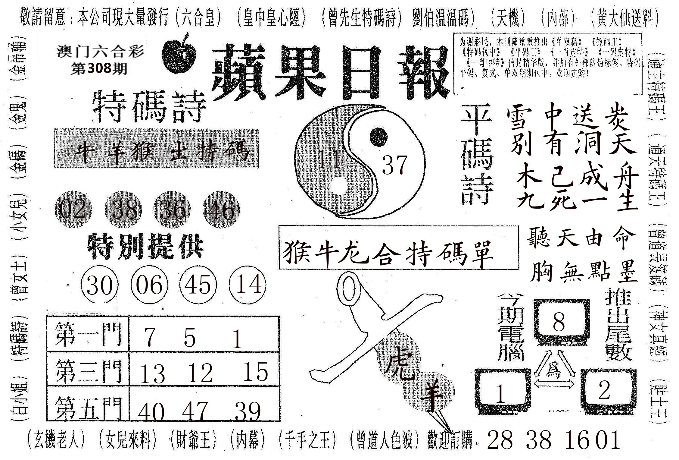 新苹果日报 第308期