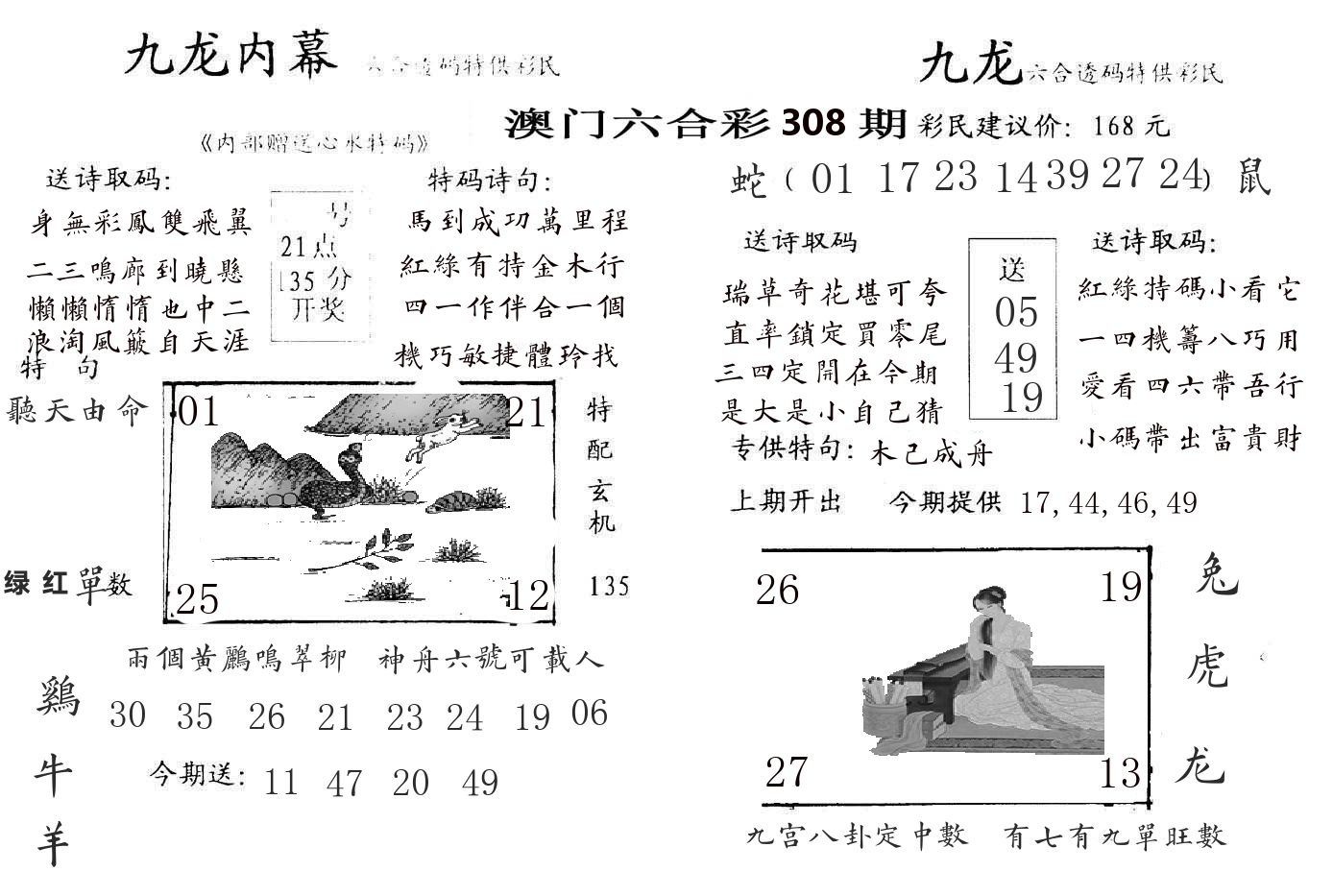 九龙内幕 第308期