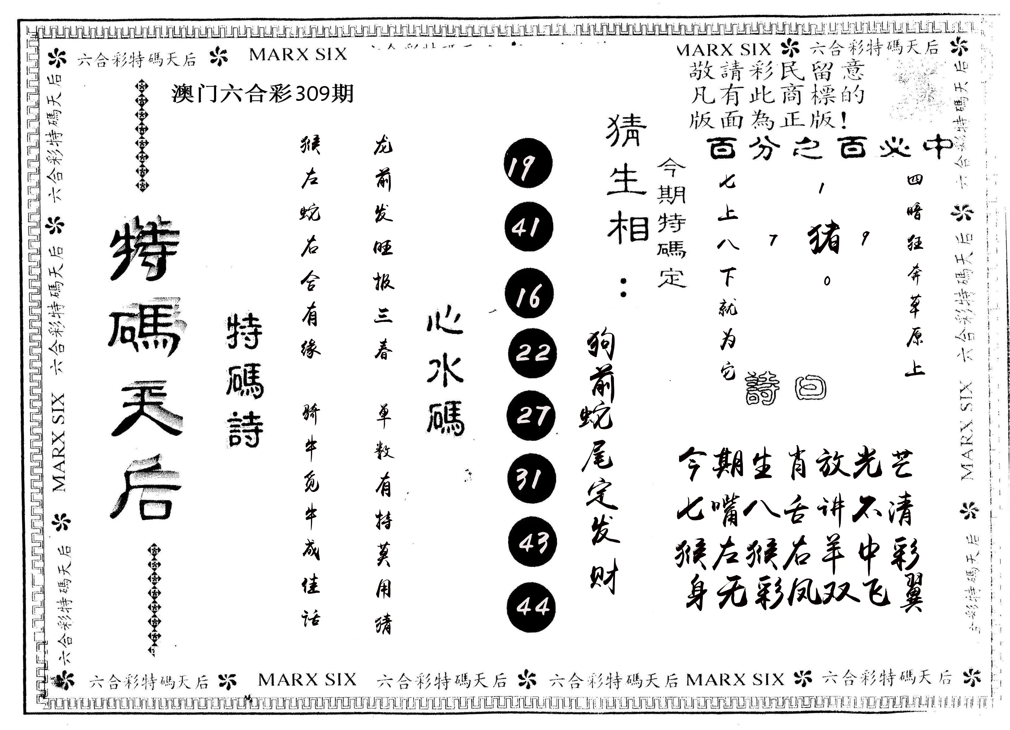 另版特码天后 第309期
