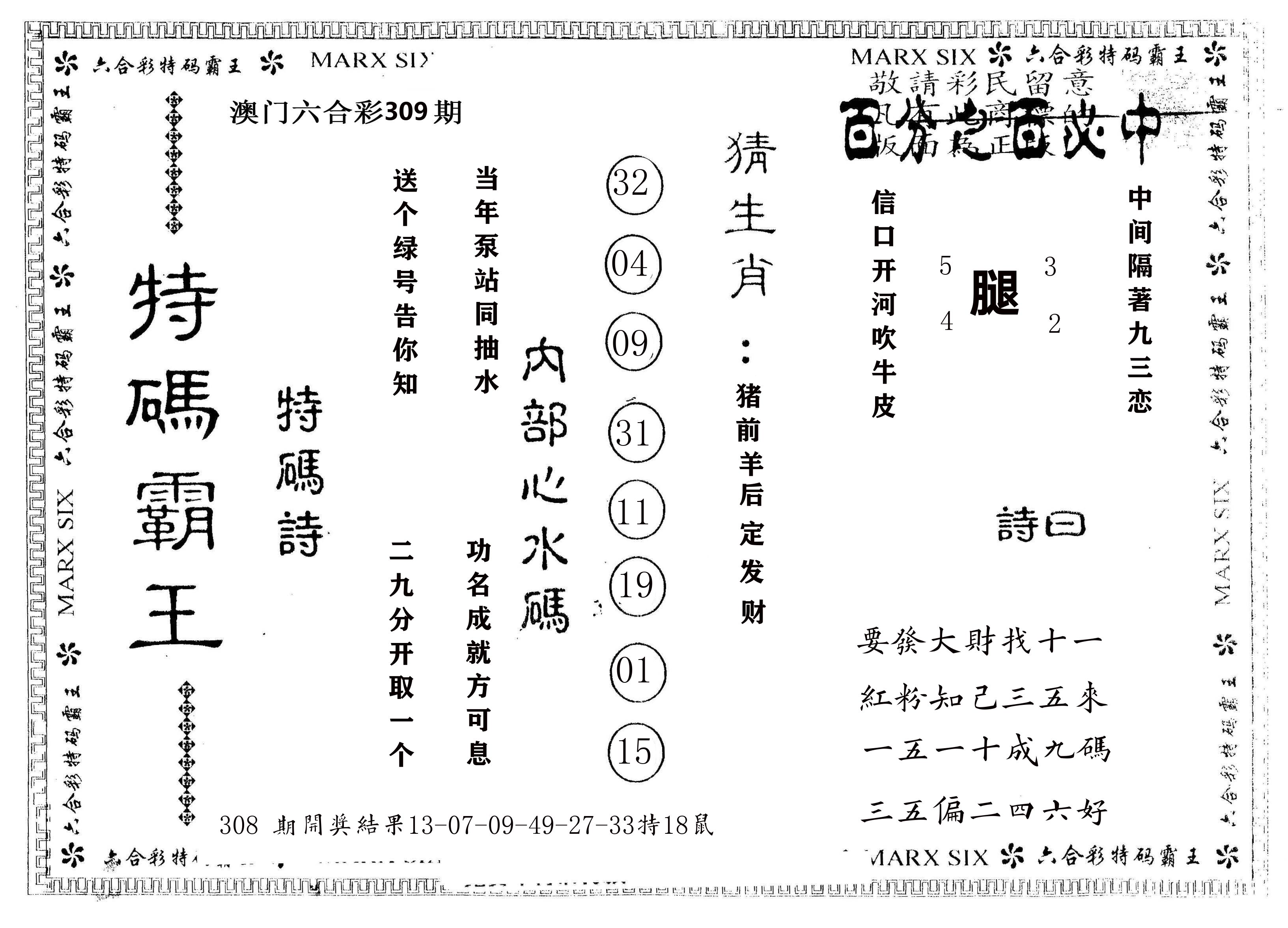 另版特码霸王 第309期