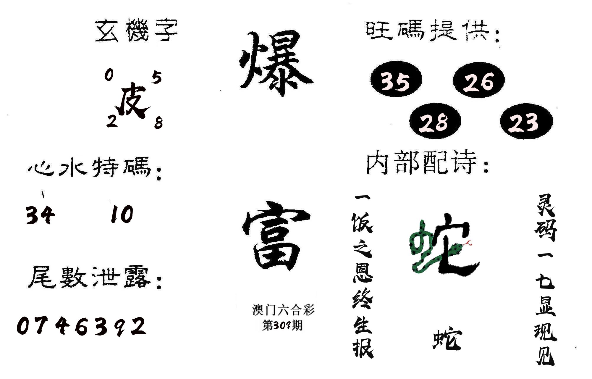 爆富 第309期