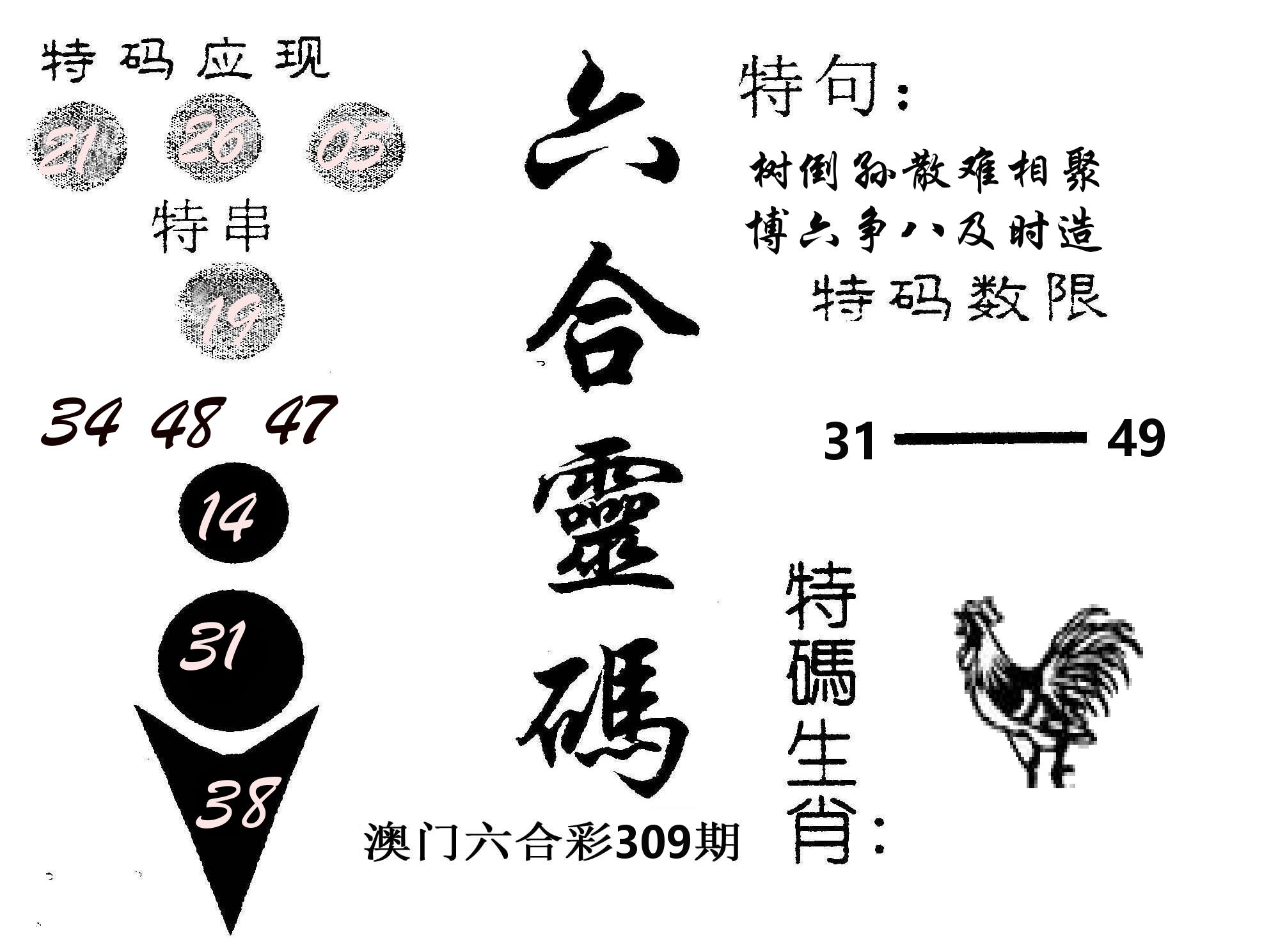 六合灵码 第309期