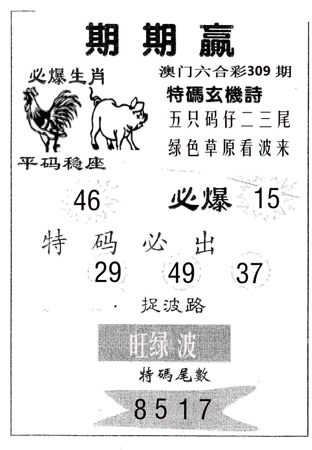 期期赢 第309期