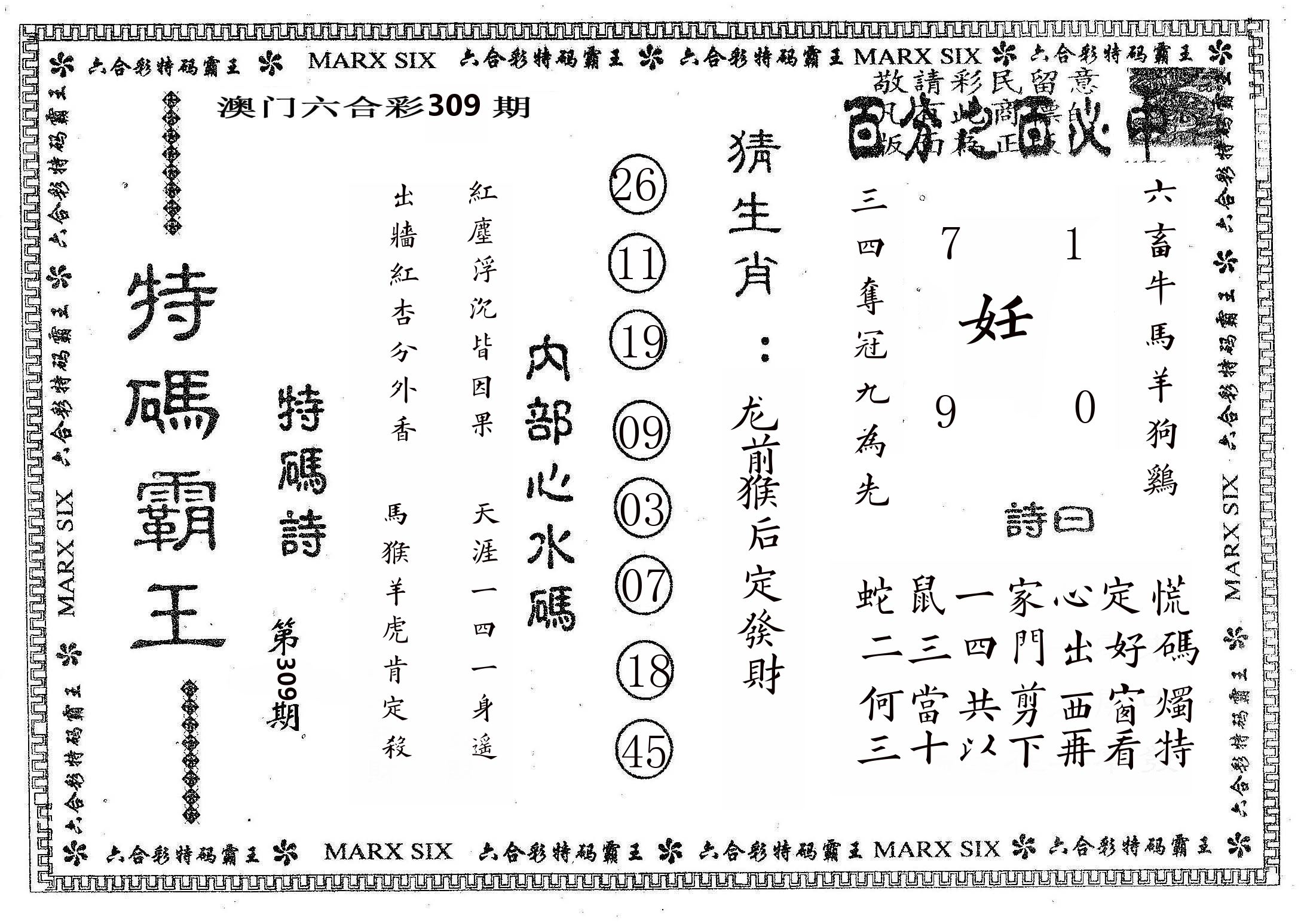 特码霸王B 第309期