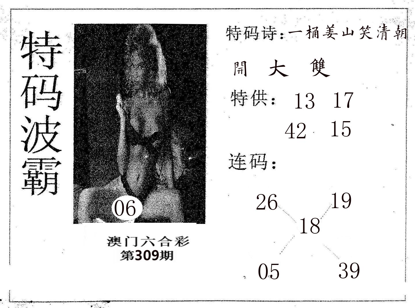特码波霸 第309期