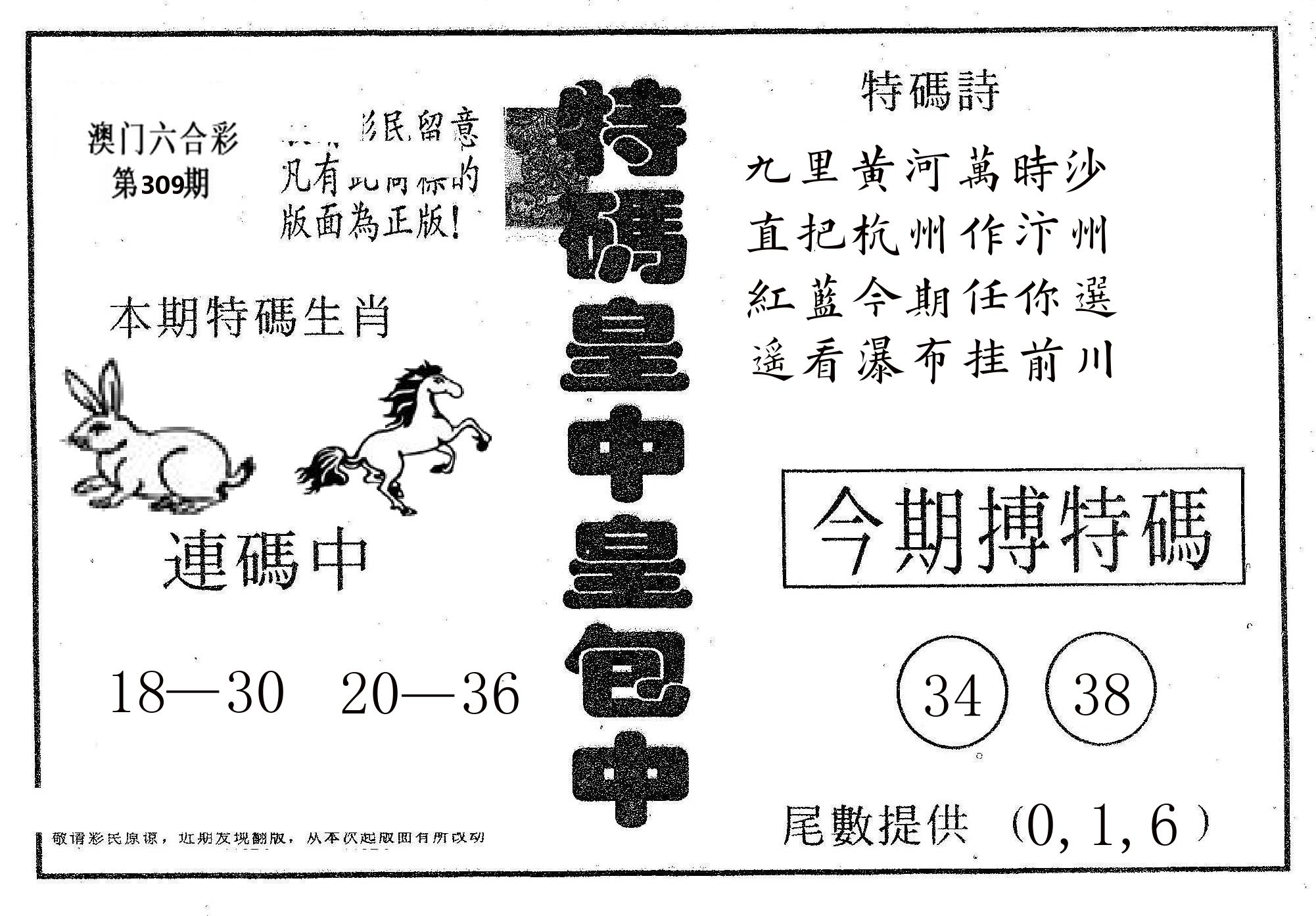 皇中皇A 第309期