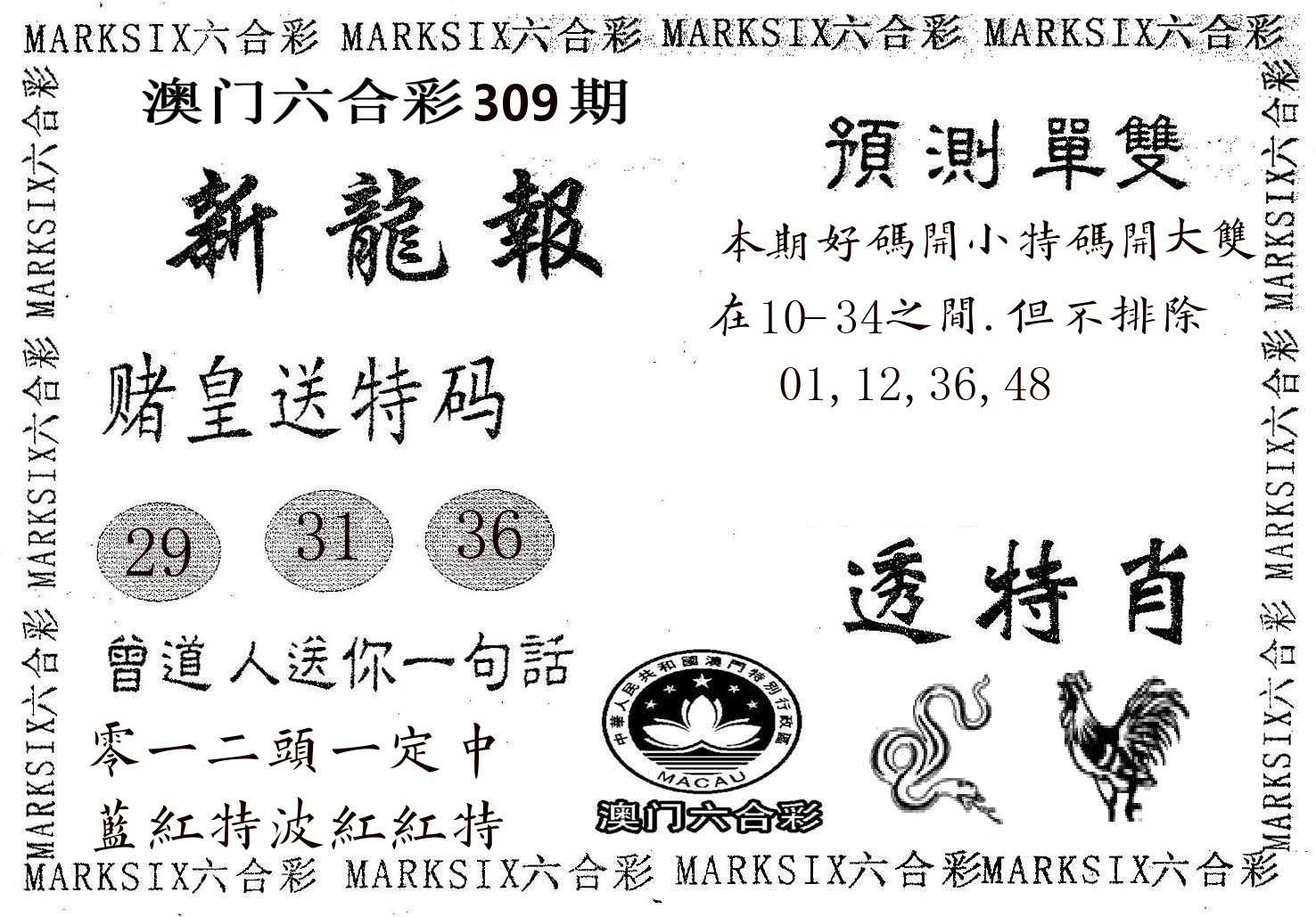 新龙报 第309期