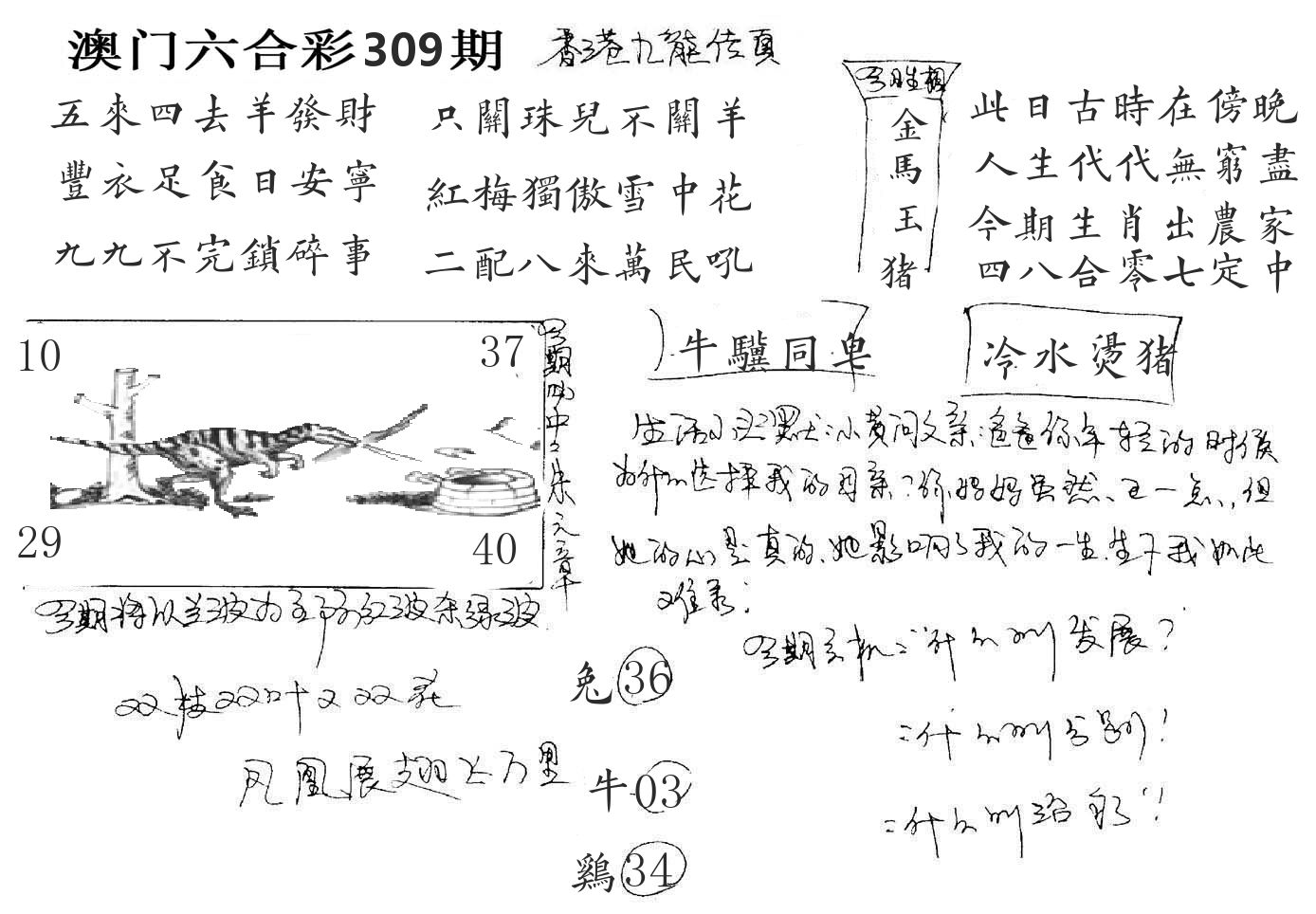 澳门手写九龙 第309期