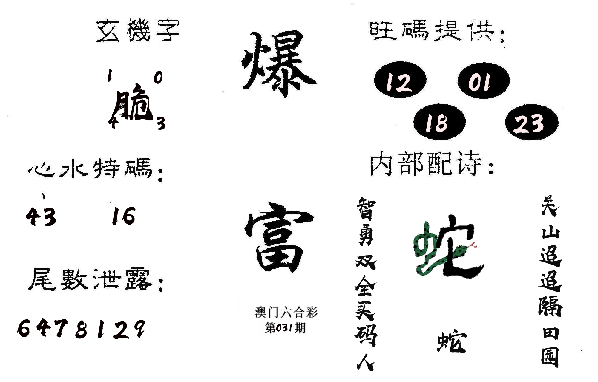 爆富 第31期