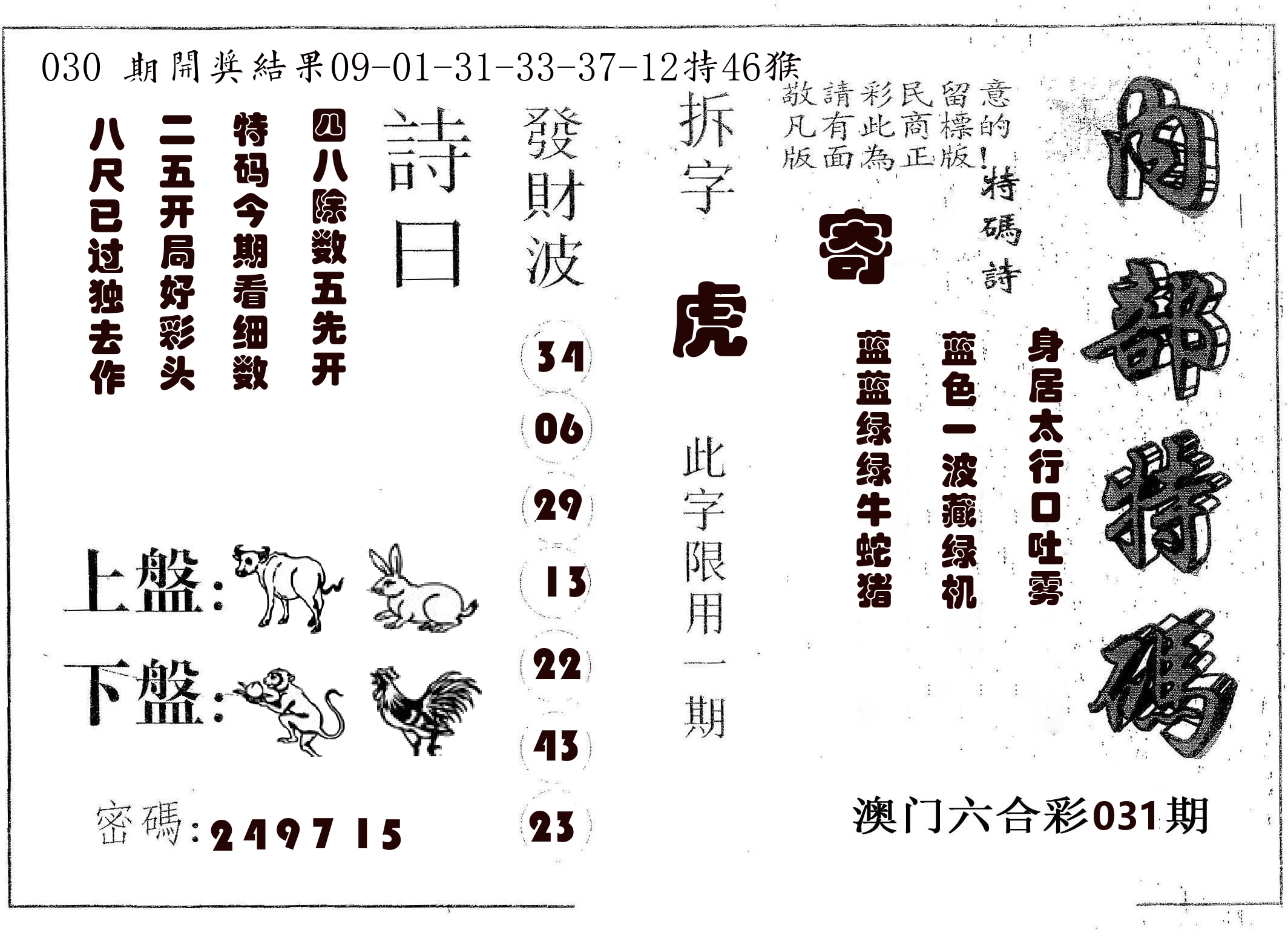 内部特码 第31期