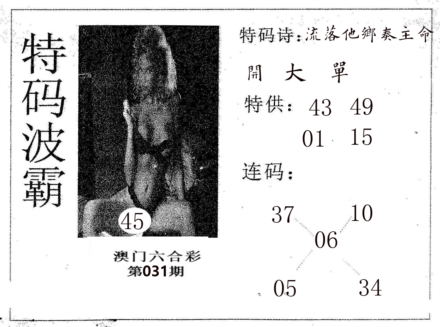特码波霸 第31期