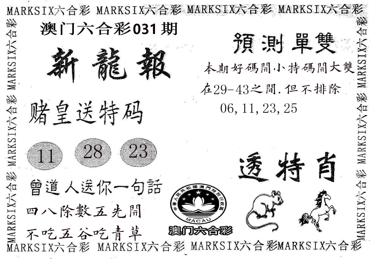 新龙报 第31期