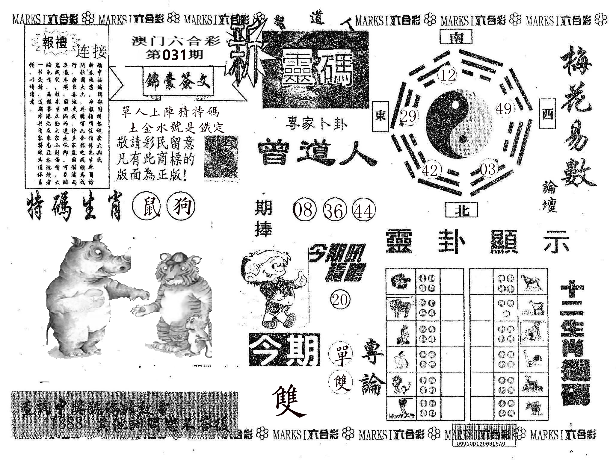 新灵码 第31期