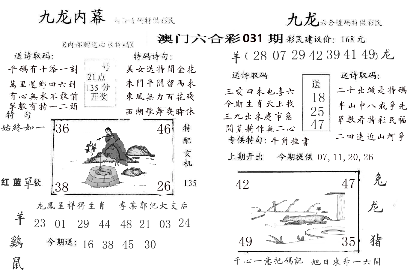 九龙内幕 第31期