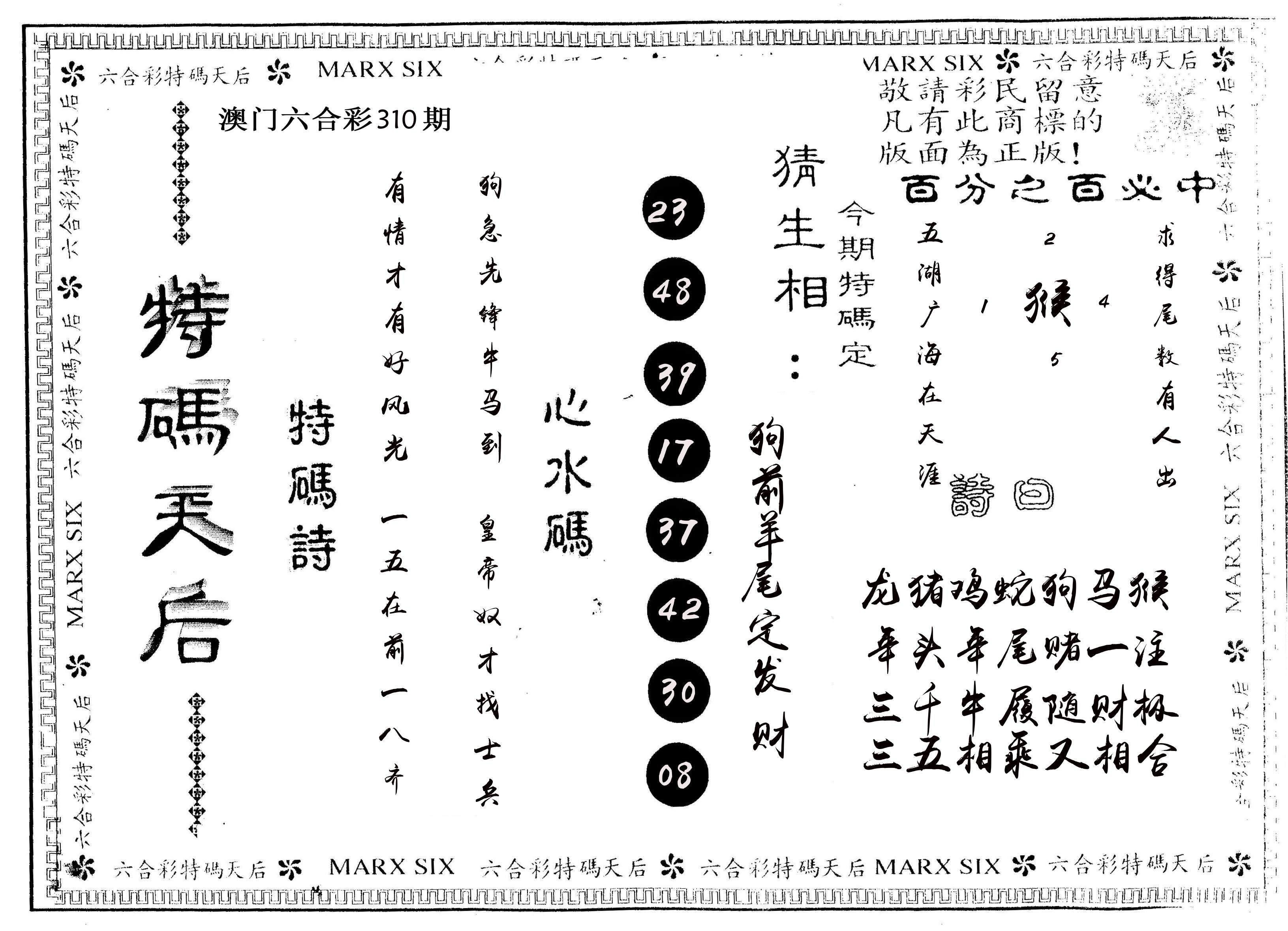 另版特码天后 第310期