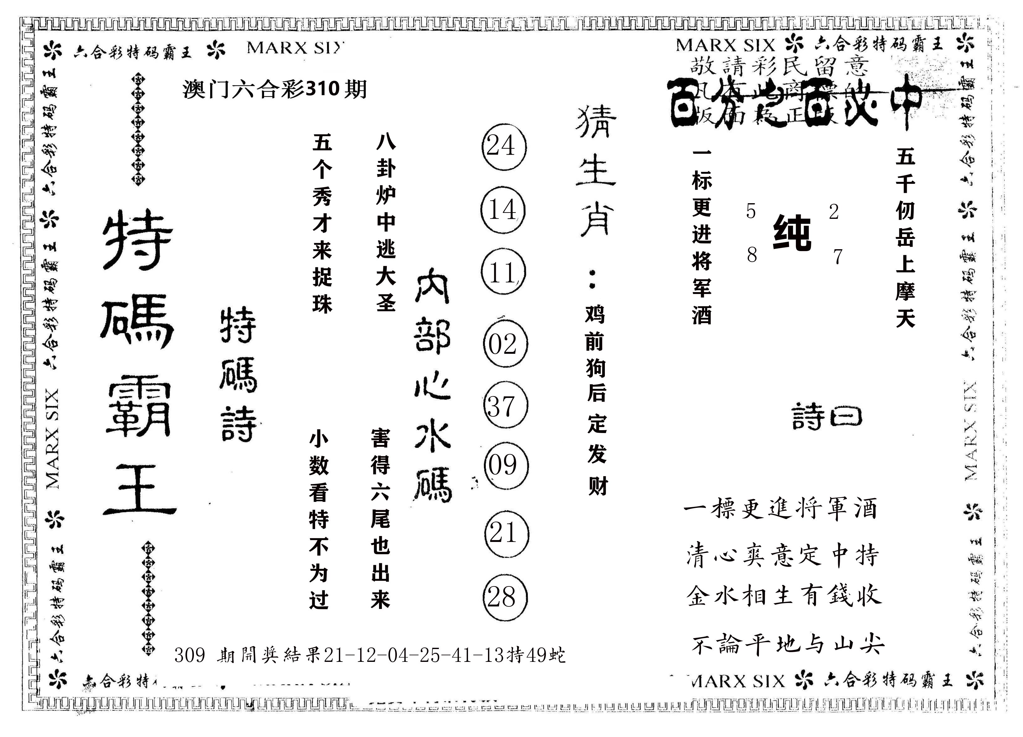 另版特码霸王 第310期