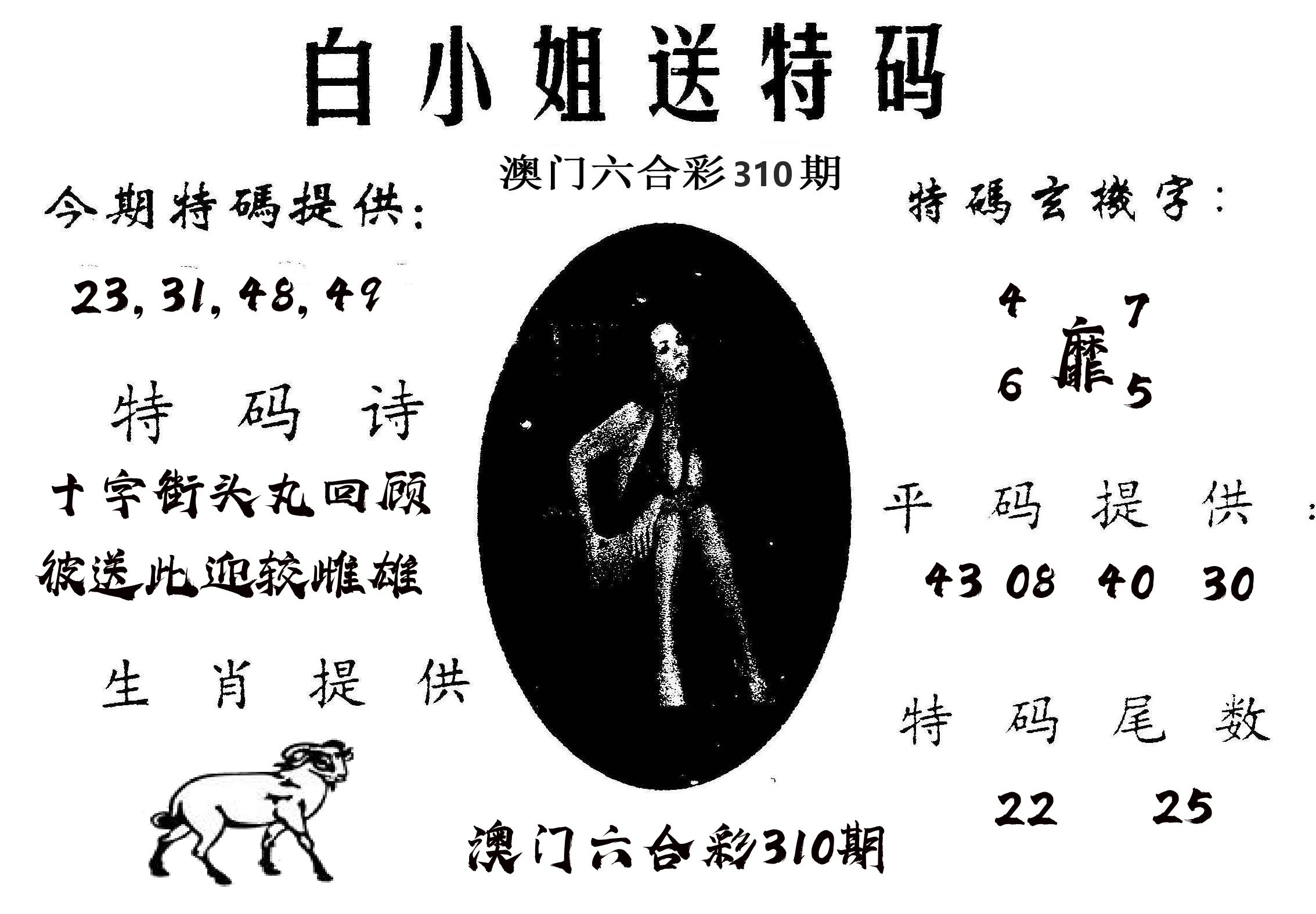 白姐送特 第310期