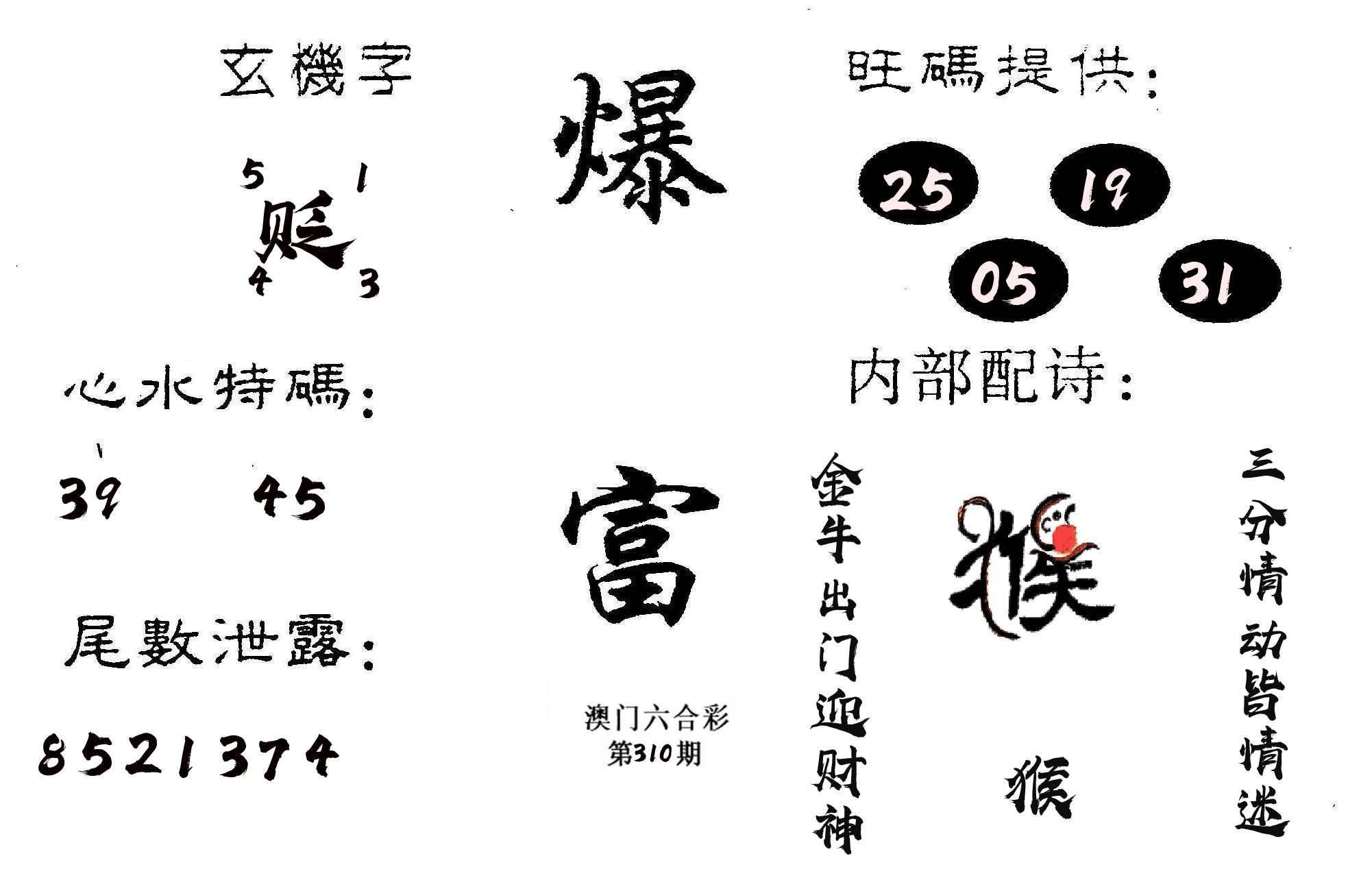 爆富 第310期