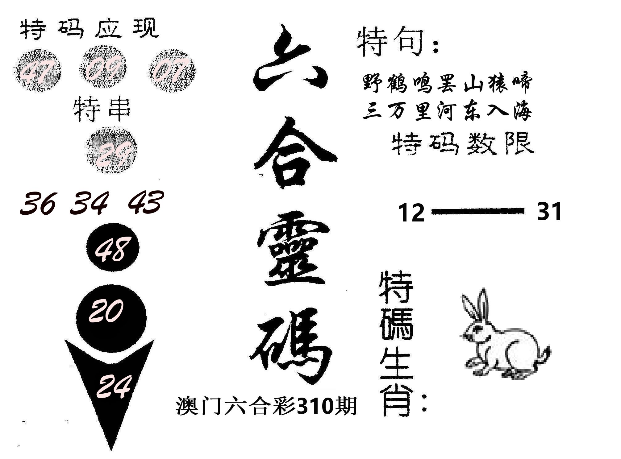六合灵码 第310期