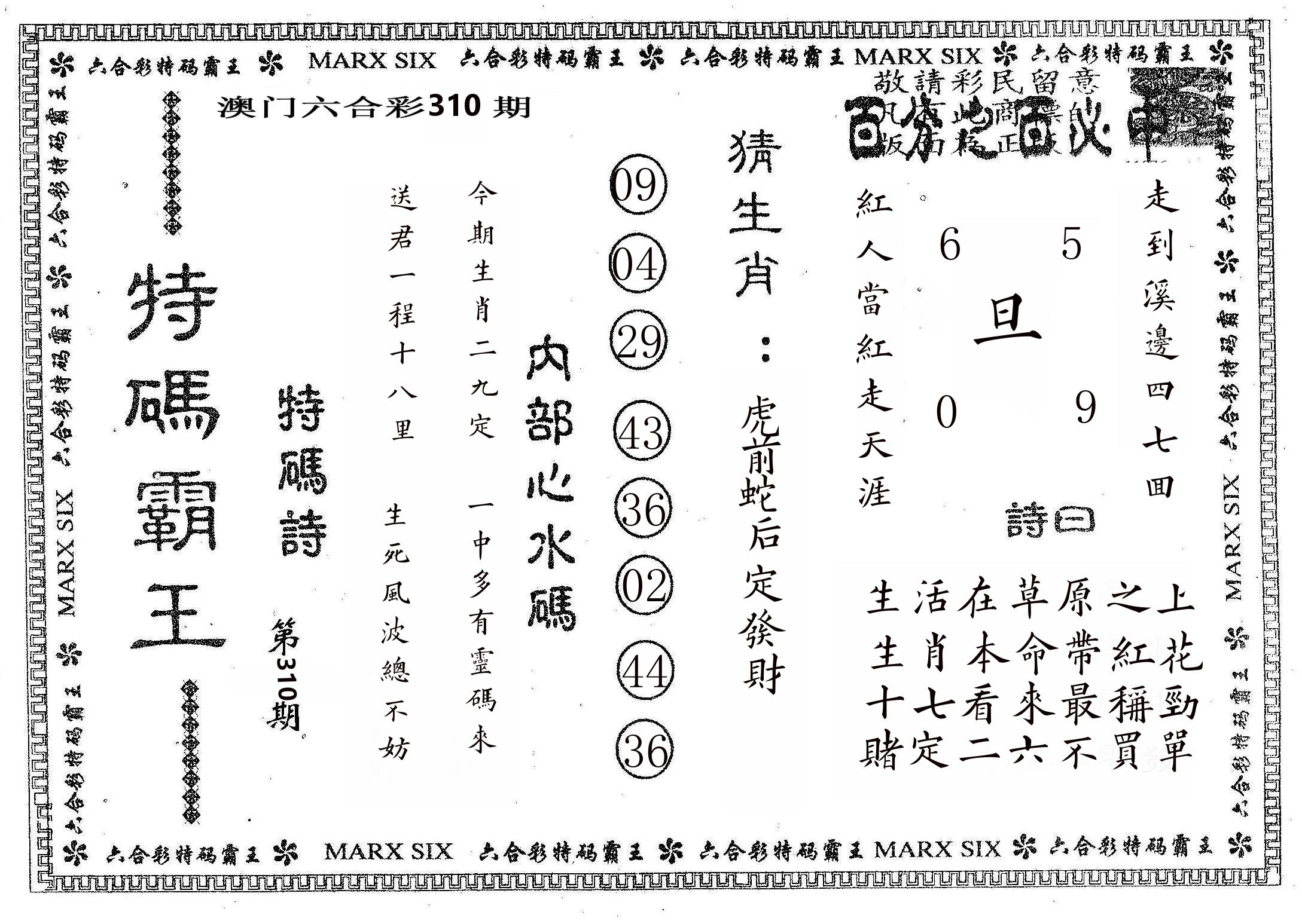 特码霸王B 第310期