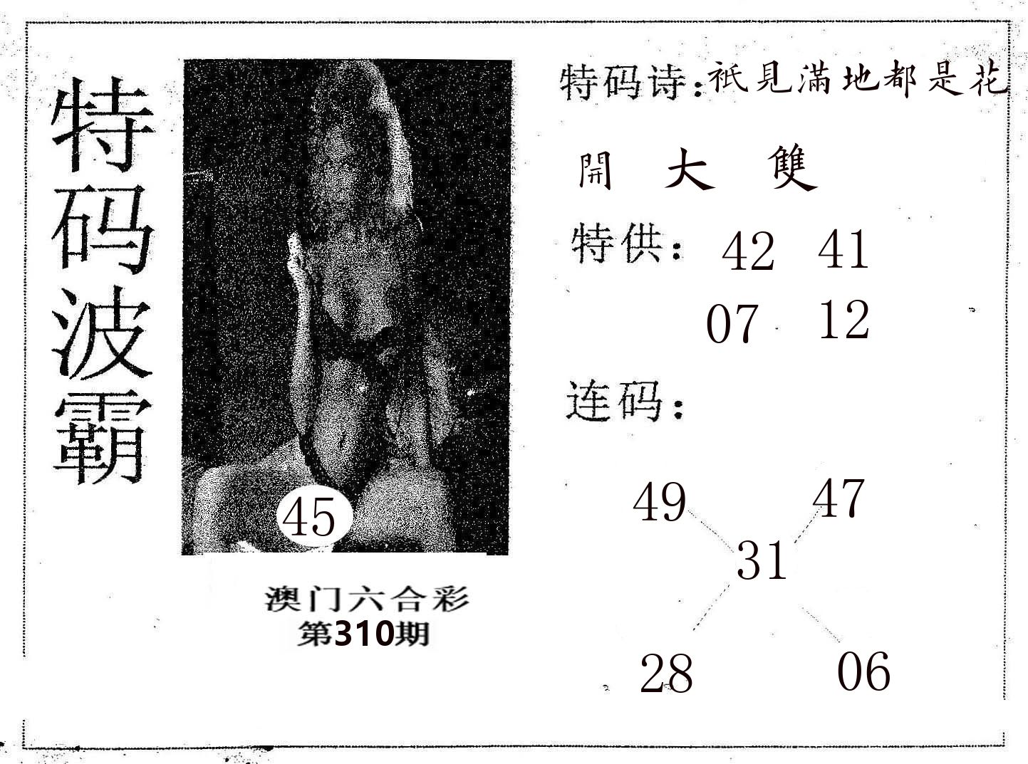 特码波霸 第310期