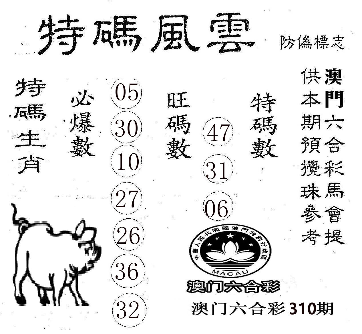 特码风云 第310期