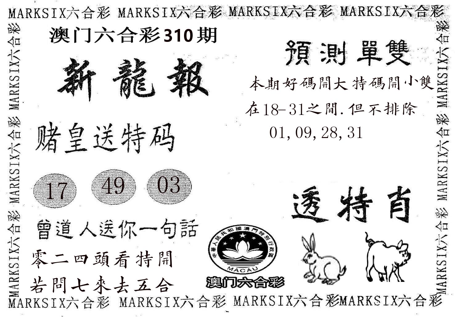 新龙报 第310期