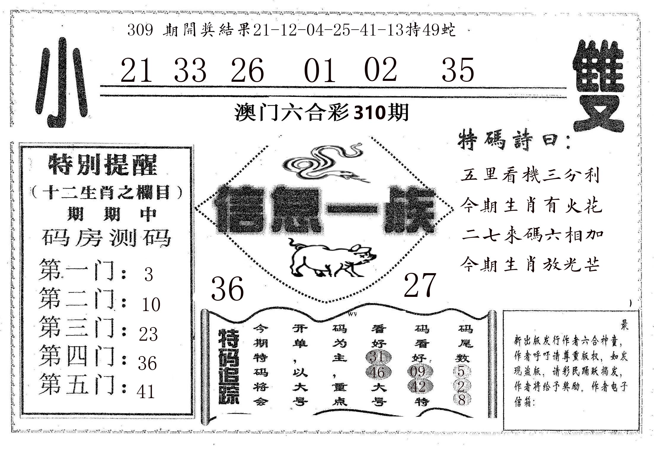 信息一族 第310期