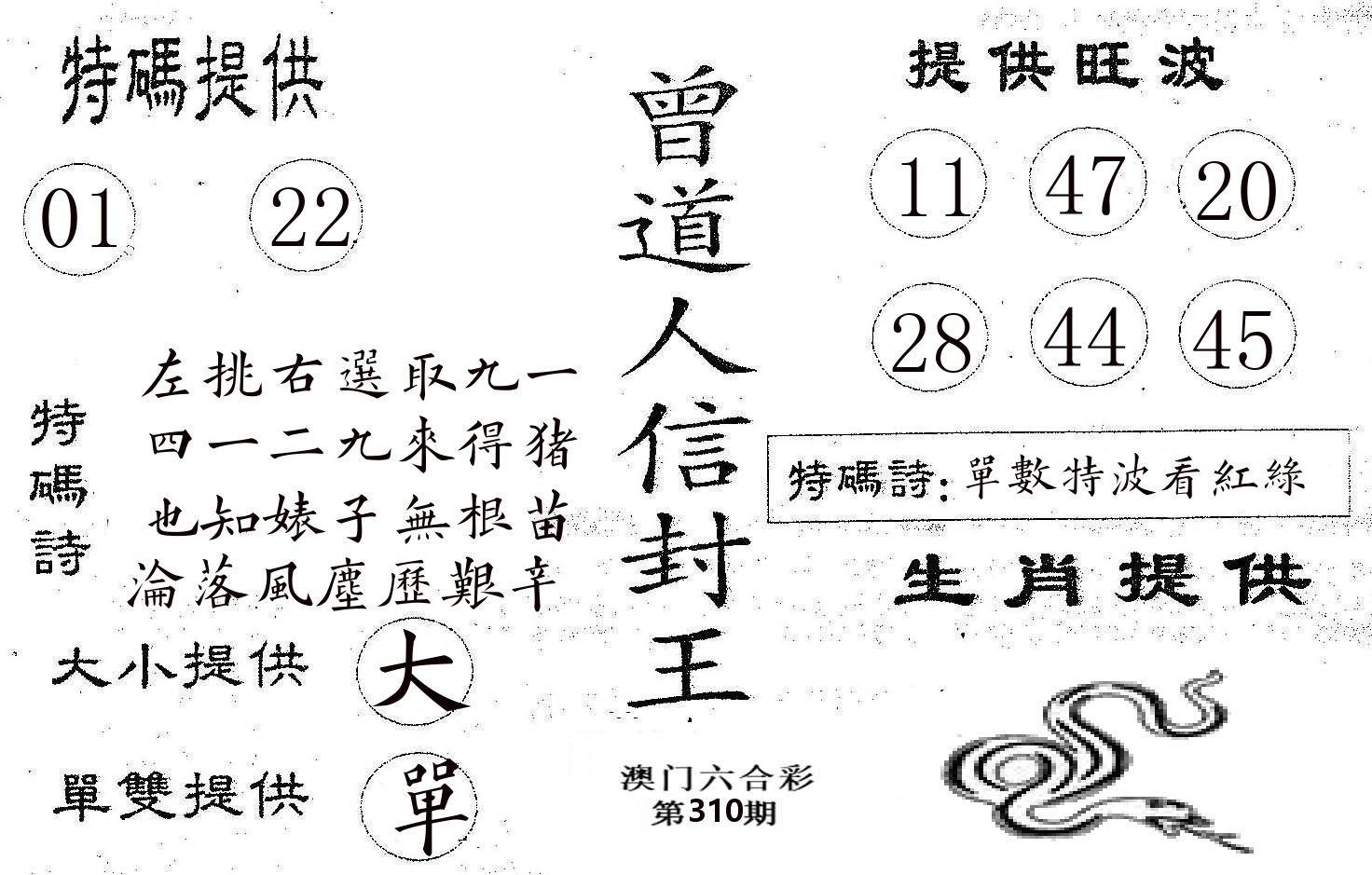 曾信封王 第310期