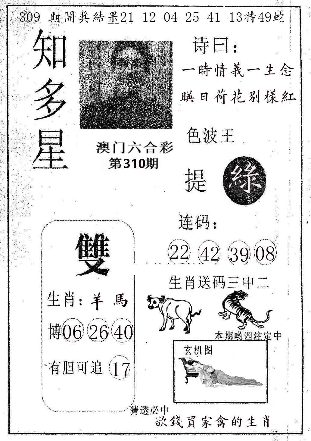 知多星 第310期