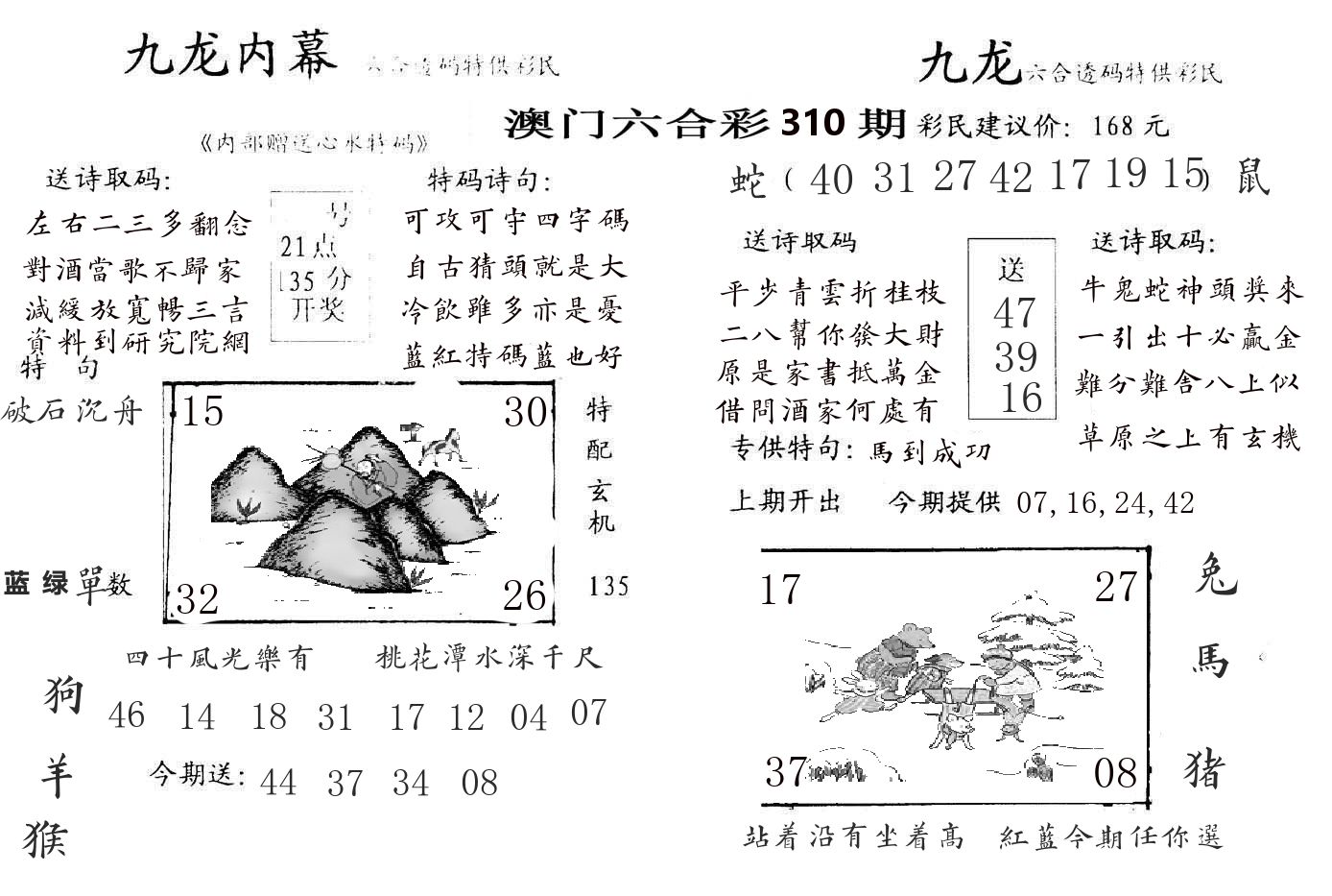 九龙内幕 第310期