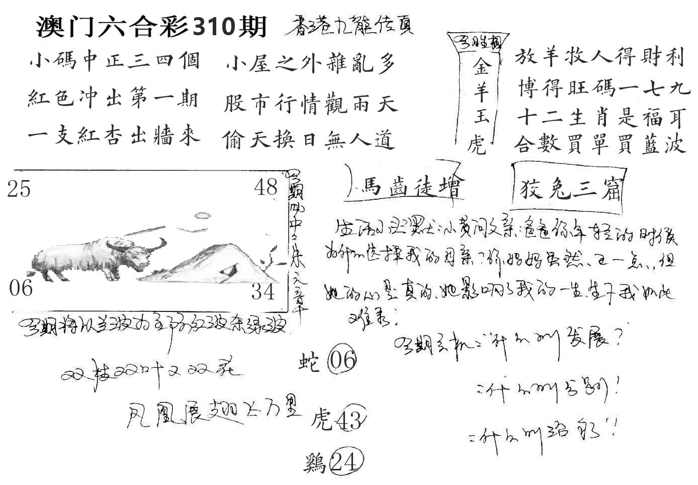 澳门手写九龙 第310期