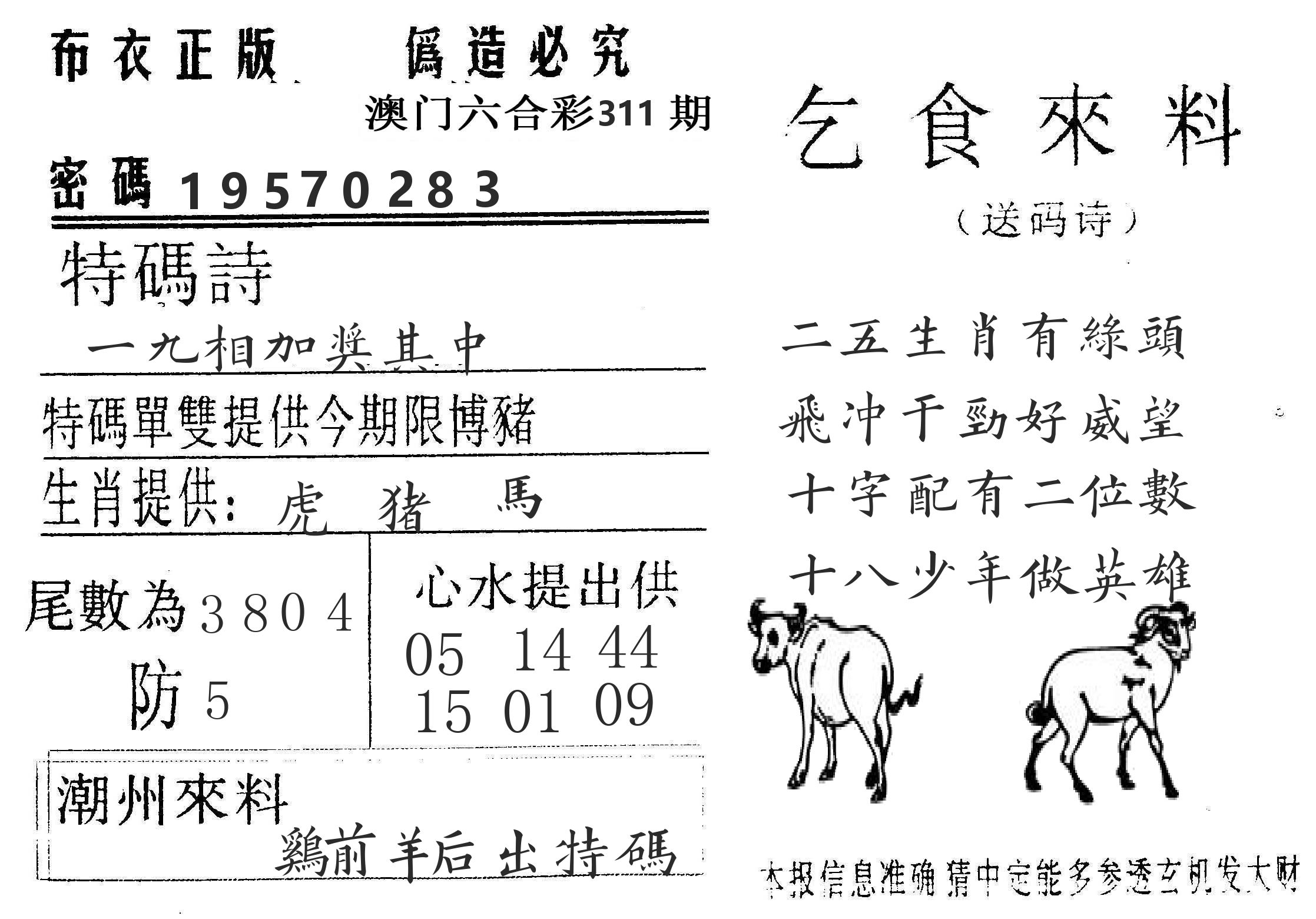 千禧码王 第311期