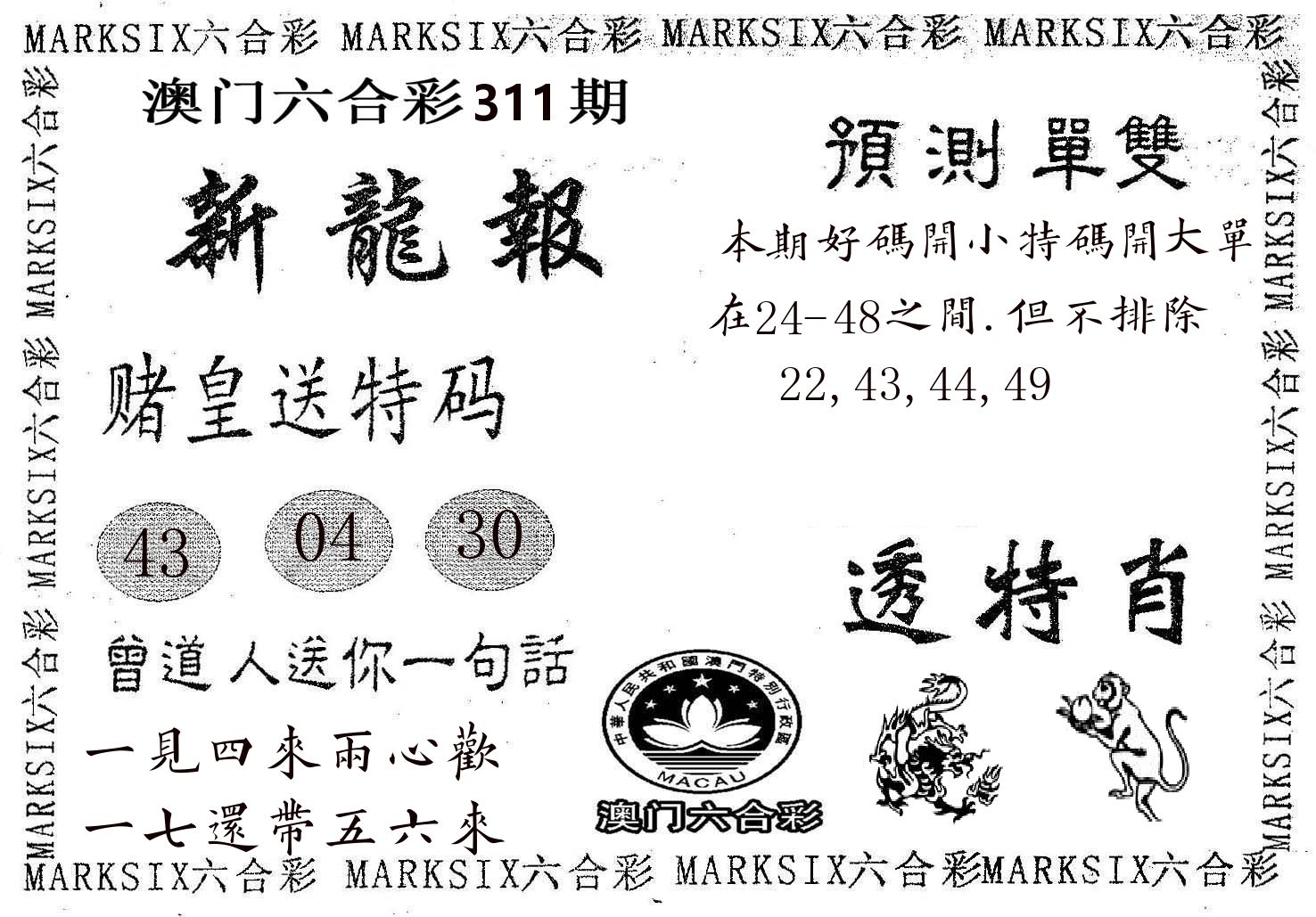 新龙报 第311期