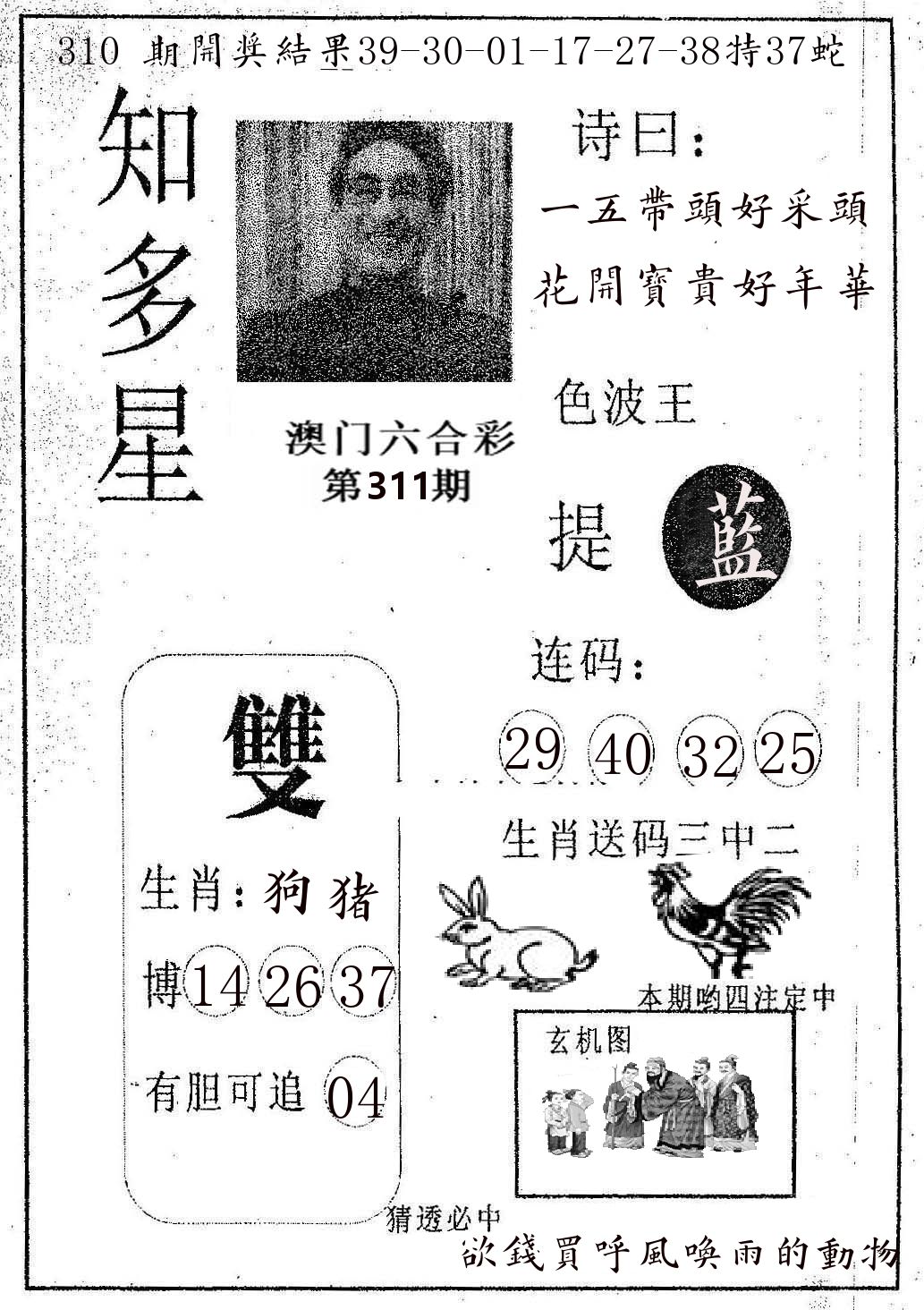 知多星 第311期