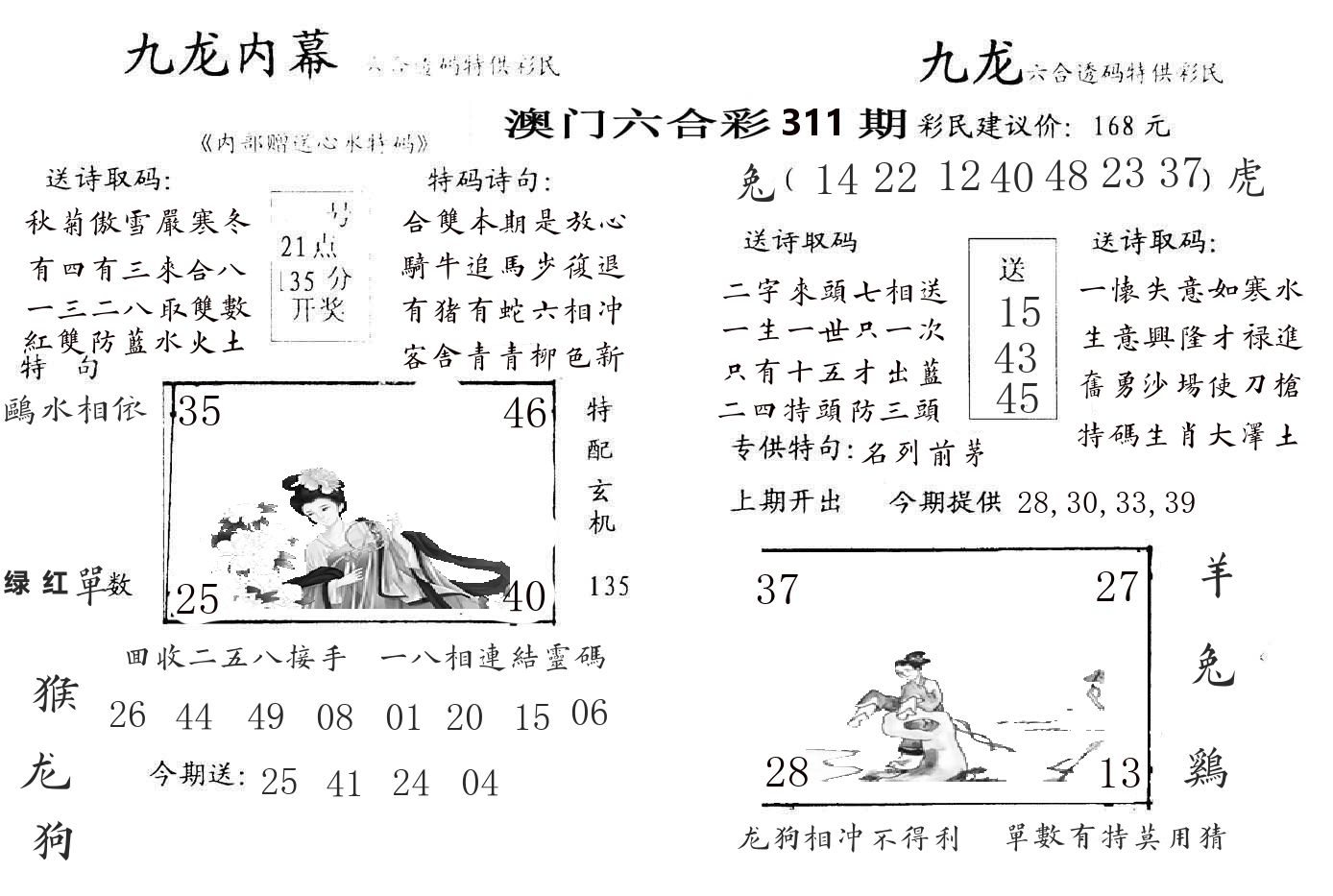 九龙内幕 第311期