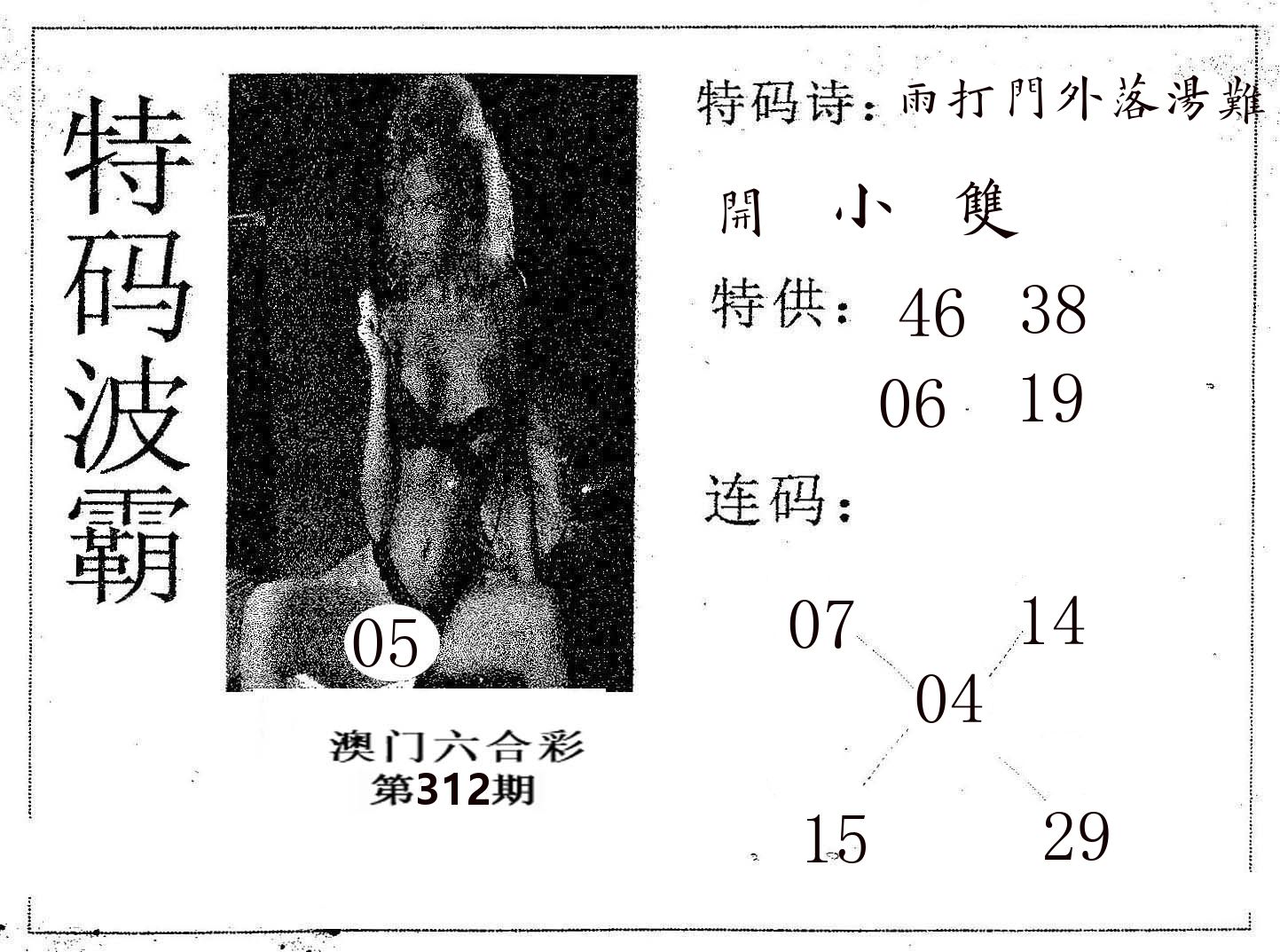 特码波霸 第312期
