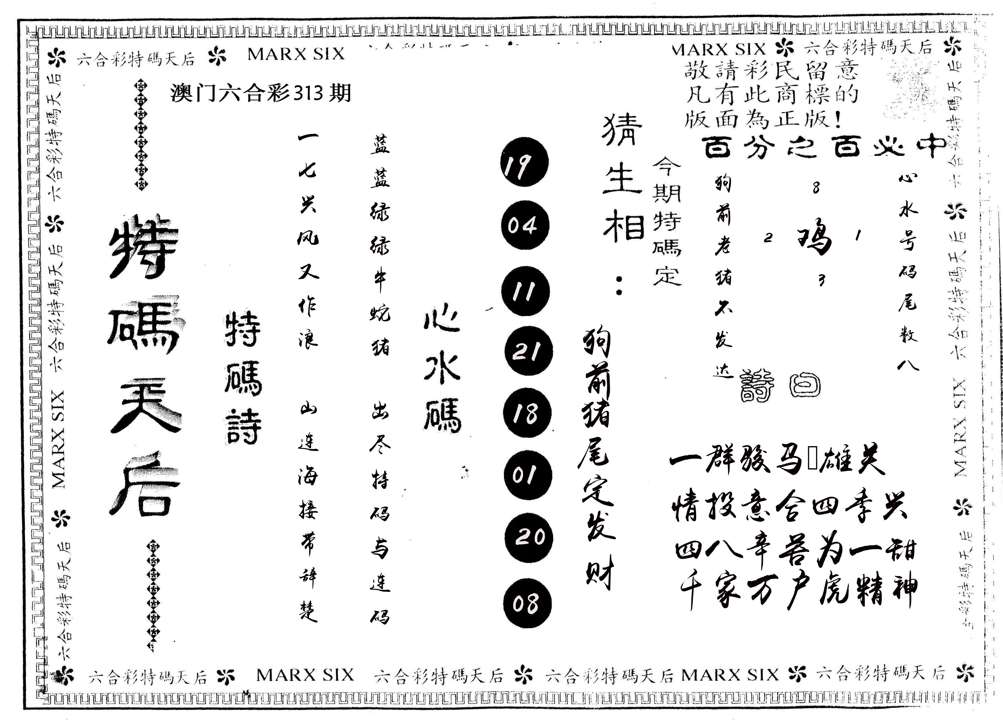另版特码天后 第313期