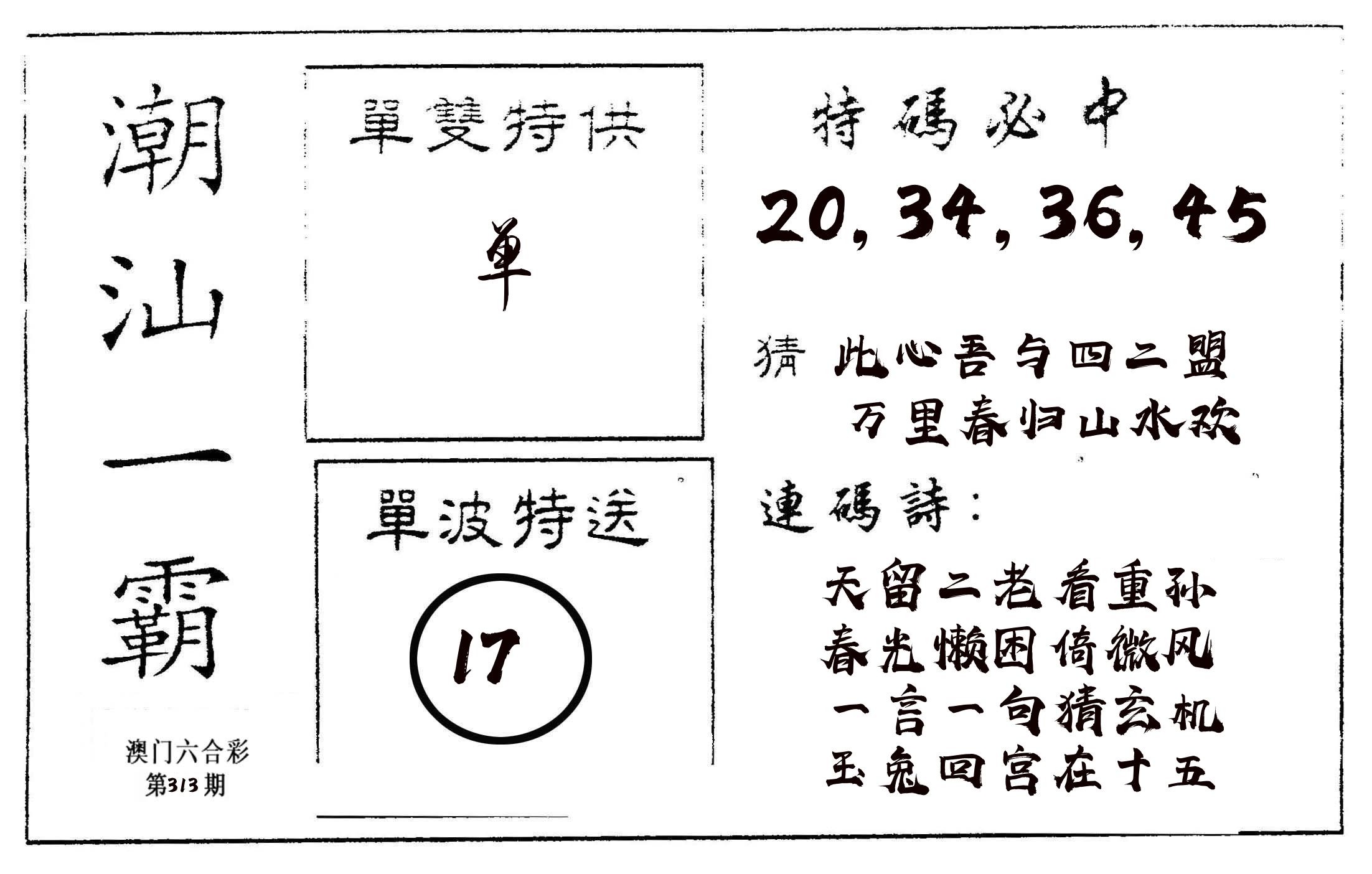 潮汕一霸A 第313期