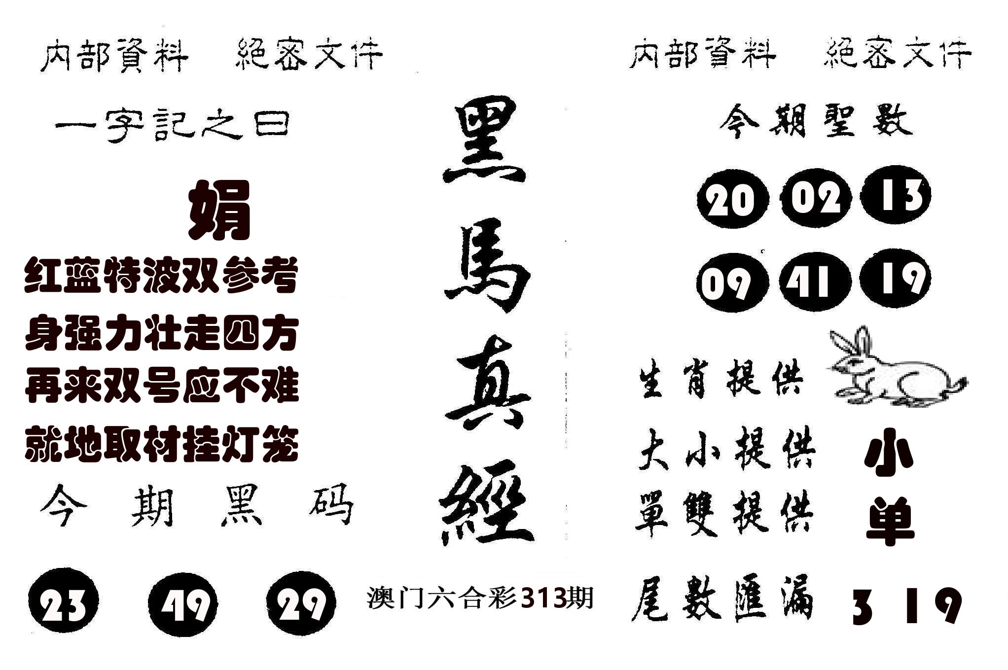 黑马真经 第313期