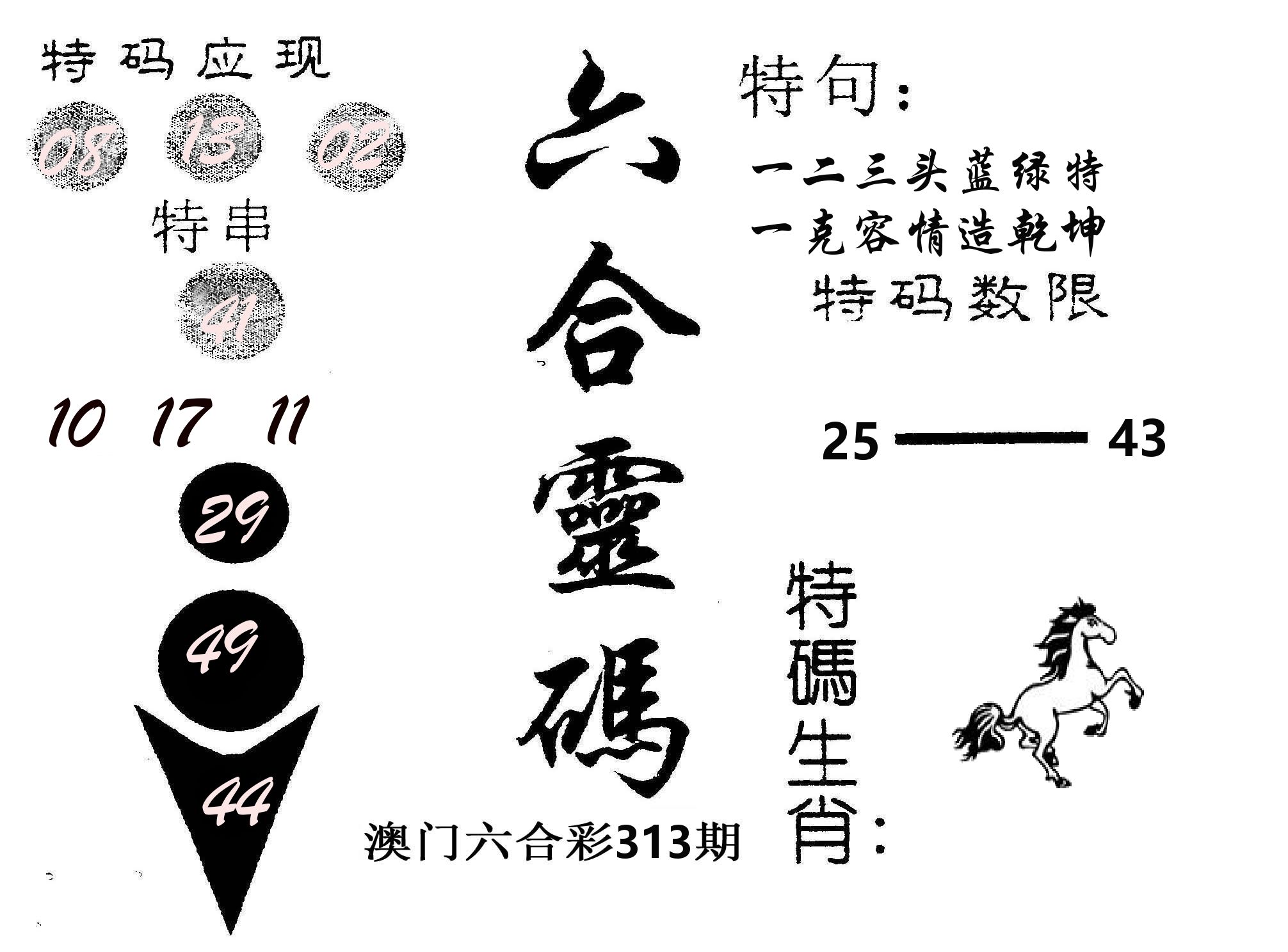 六合灵码 第313期